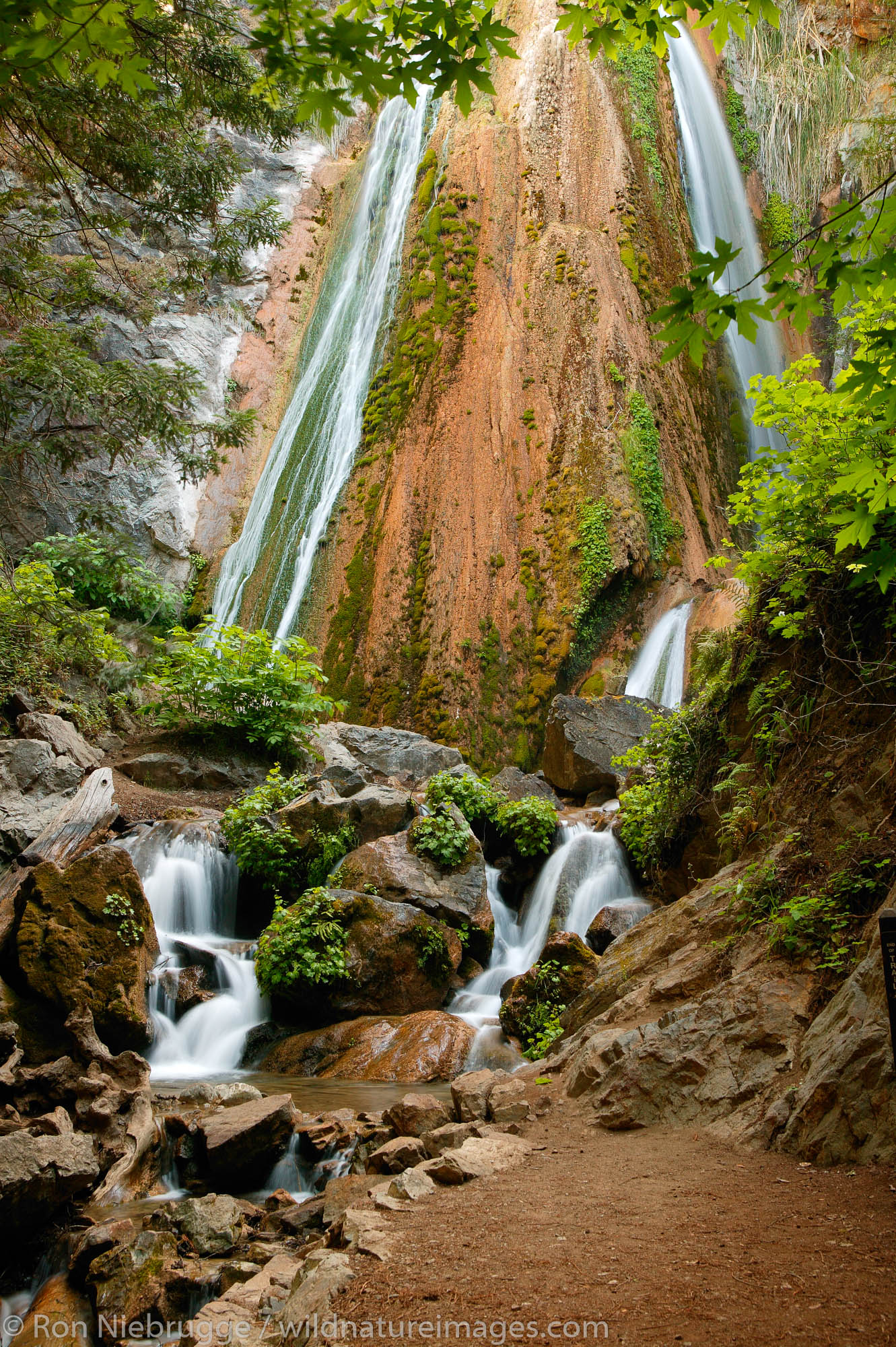 A waterfall in the Redwood grove at Limekiln State Park, Central Coast, Big Sur, California.