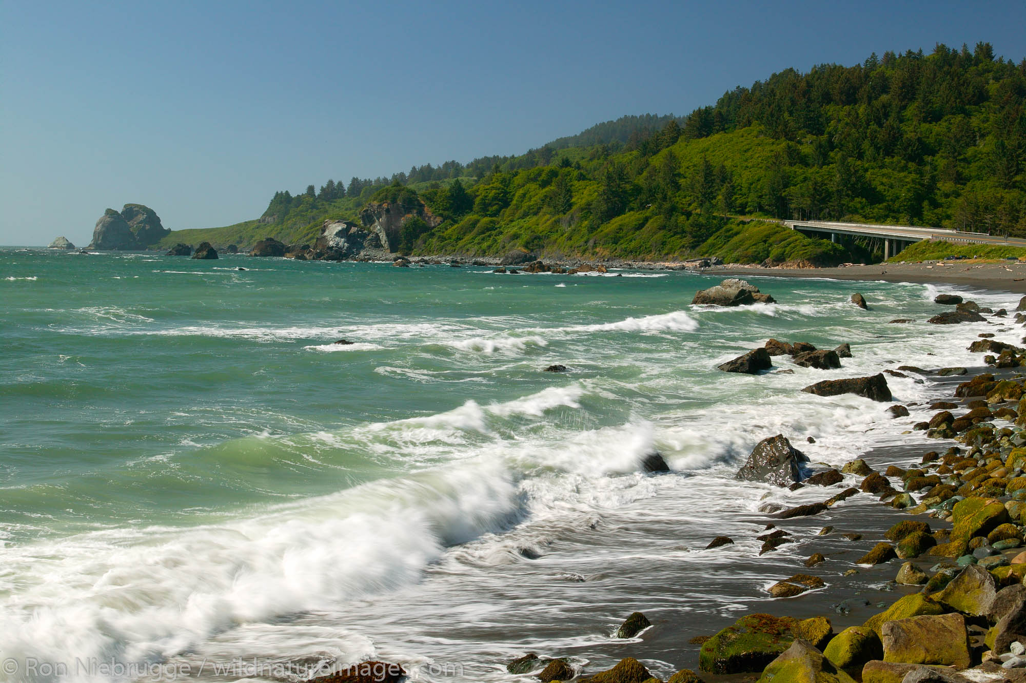 The Redwood Highway, or Highway 101 passes by False Klamath Cove and Wilson Creek, Del Norte Coast Redwoods State Park, Redwoods...