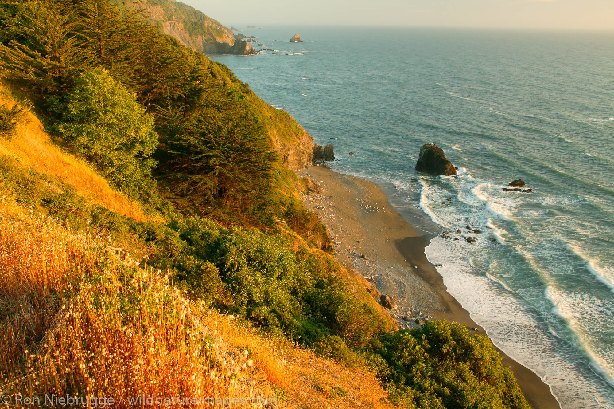 View from the Crescent Beach overlook of Del Norte Coast Redwoods State Park, part of the Redwoods state and national park, California...