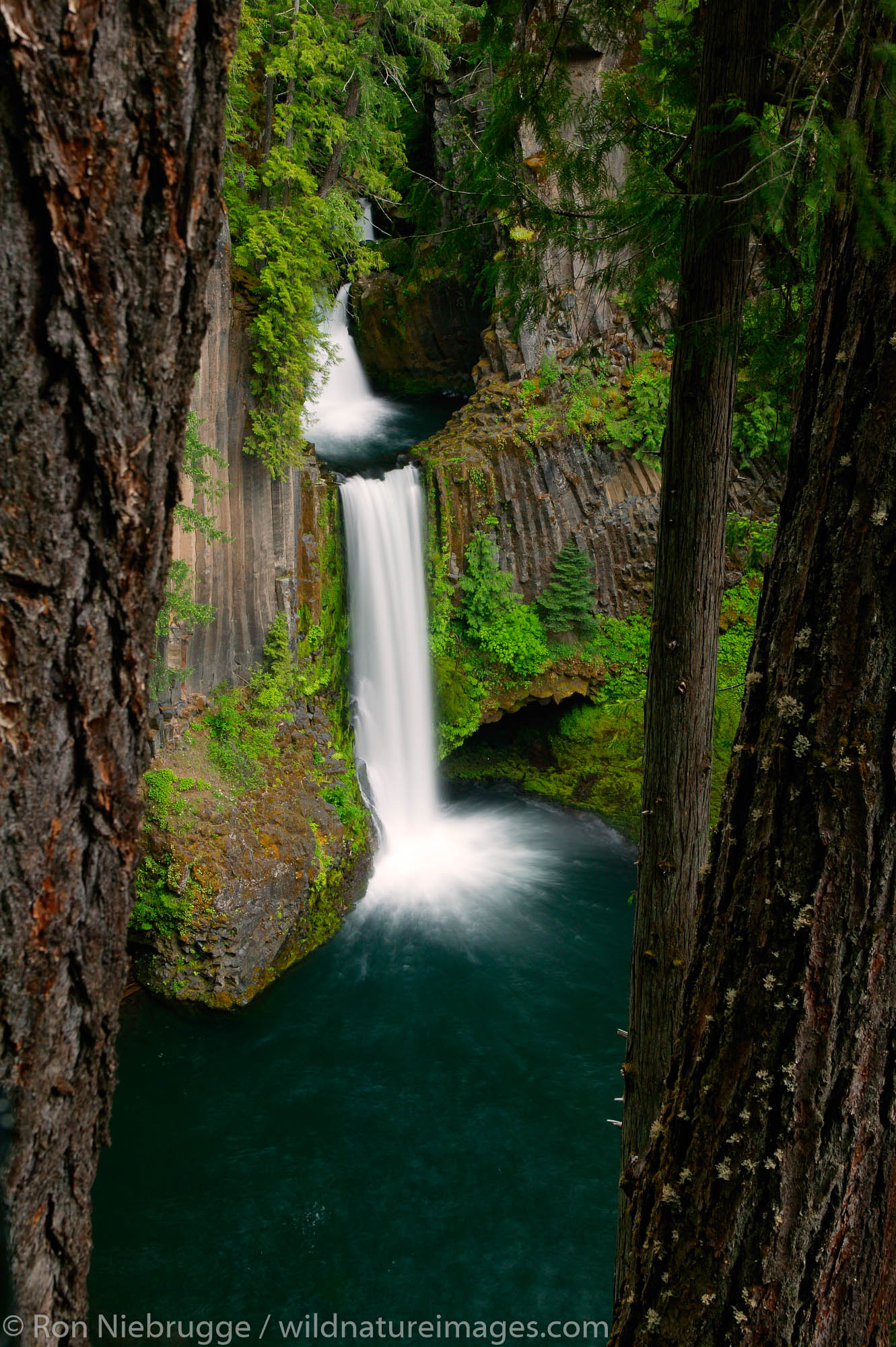 Toketee Falls in the Umpqua National Forest, Oregon
