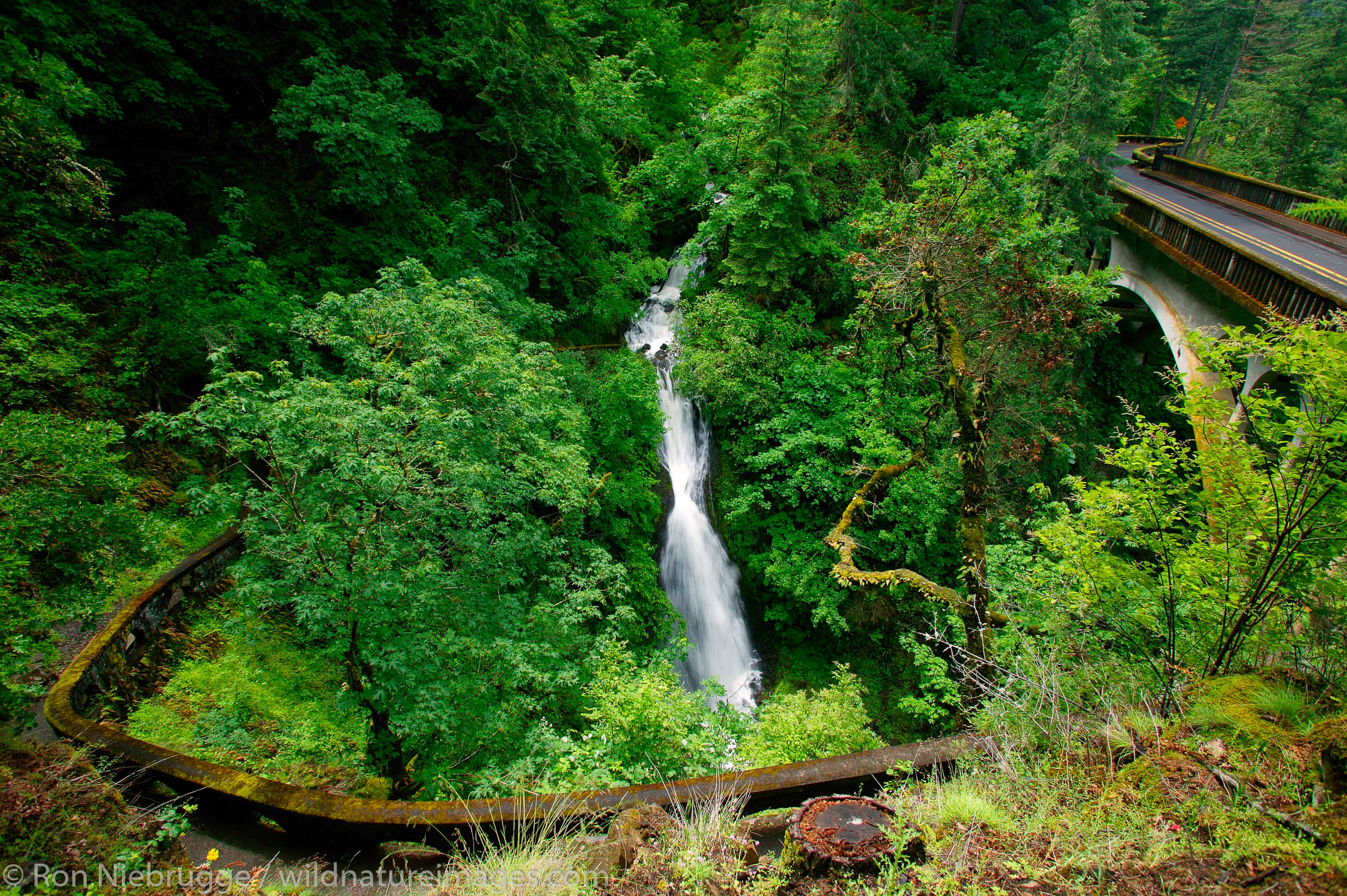The Historic Columbia River Highway at the Shepperds Dell waterfall, Columbia River Gorge National Scenic Area, Oregon.