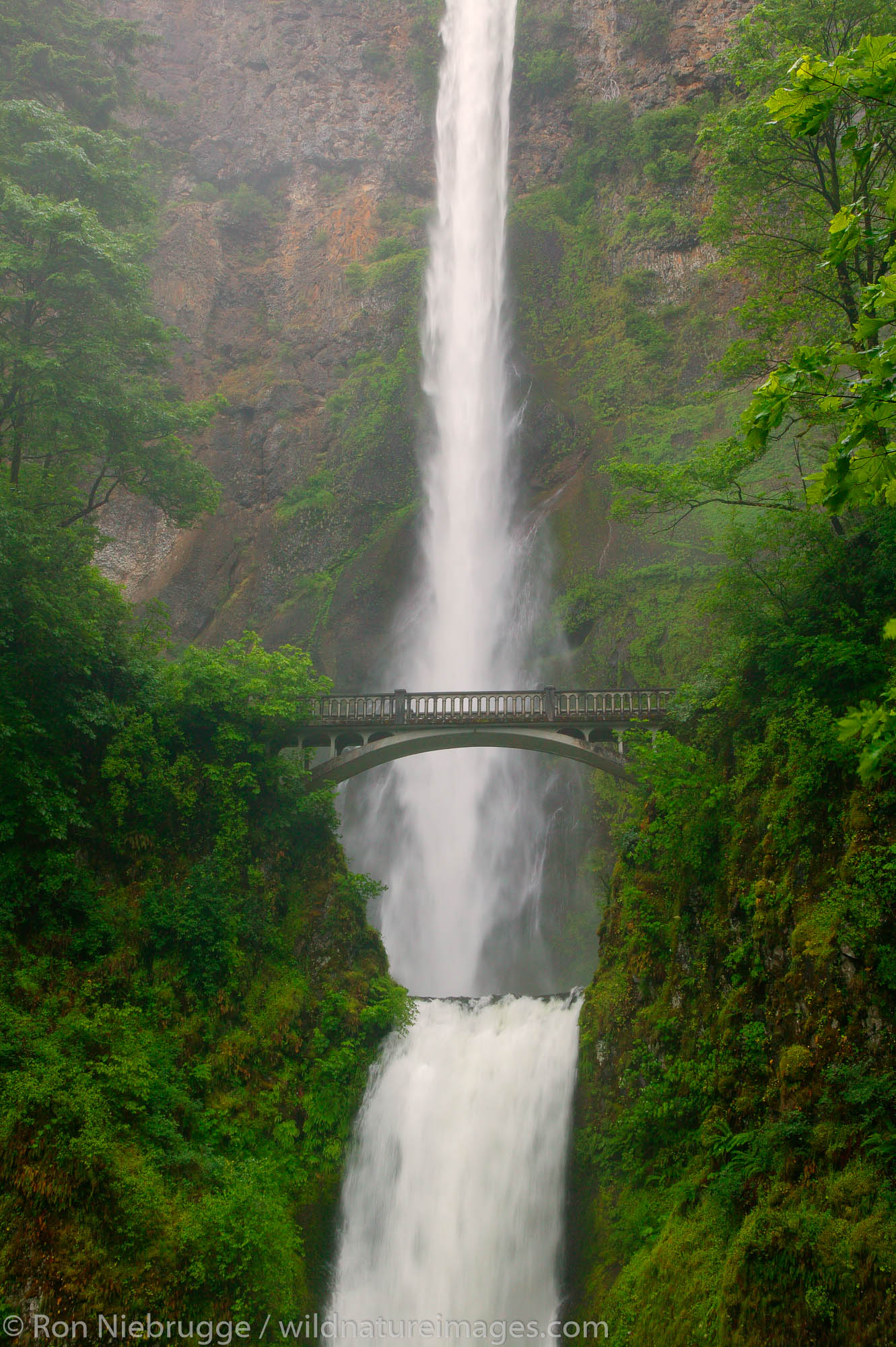 Benson Bridge and the Multnomah Falls off the Historic Columbia River Highway Columbia River Gorge National Scenic Area, Oregon...