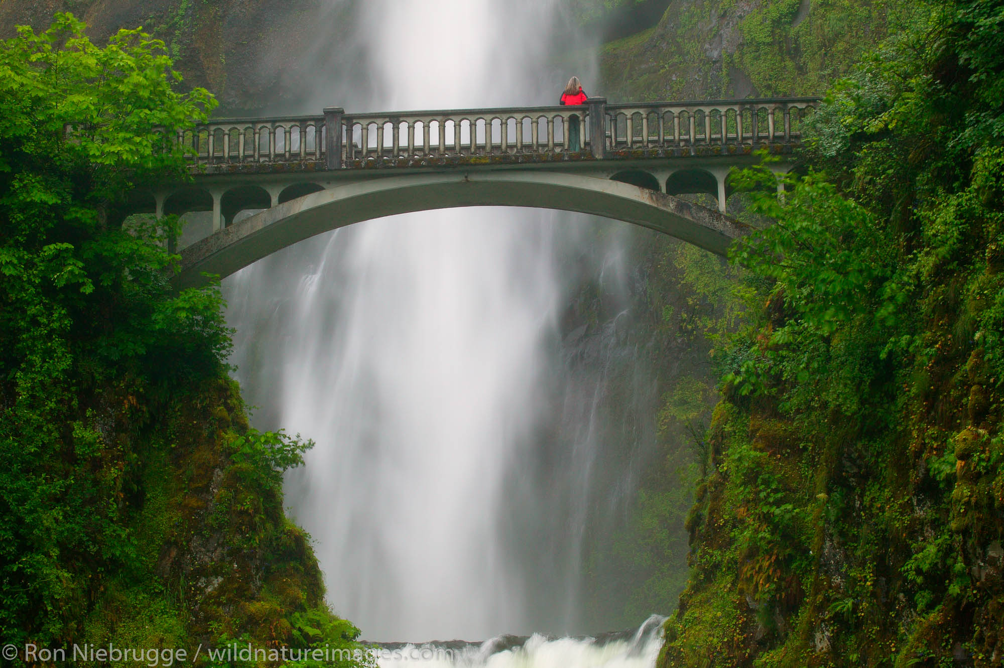 A visitor (MR) on the Benson Bridge and the Multnomah Falls off the Historic Columbia River Highway Columbia River Gorge National...