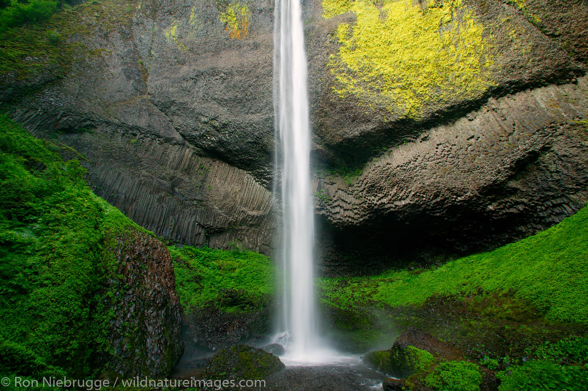 Latourell Falls, Columbia River Gorge National Scenic Area, Oregon.