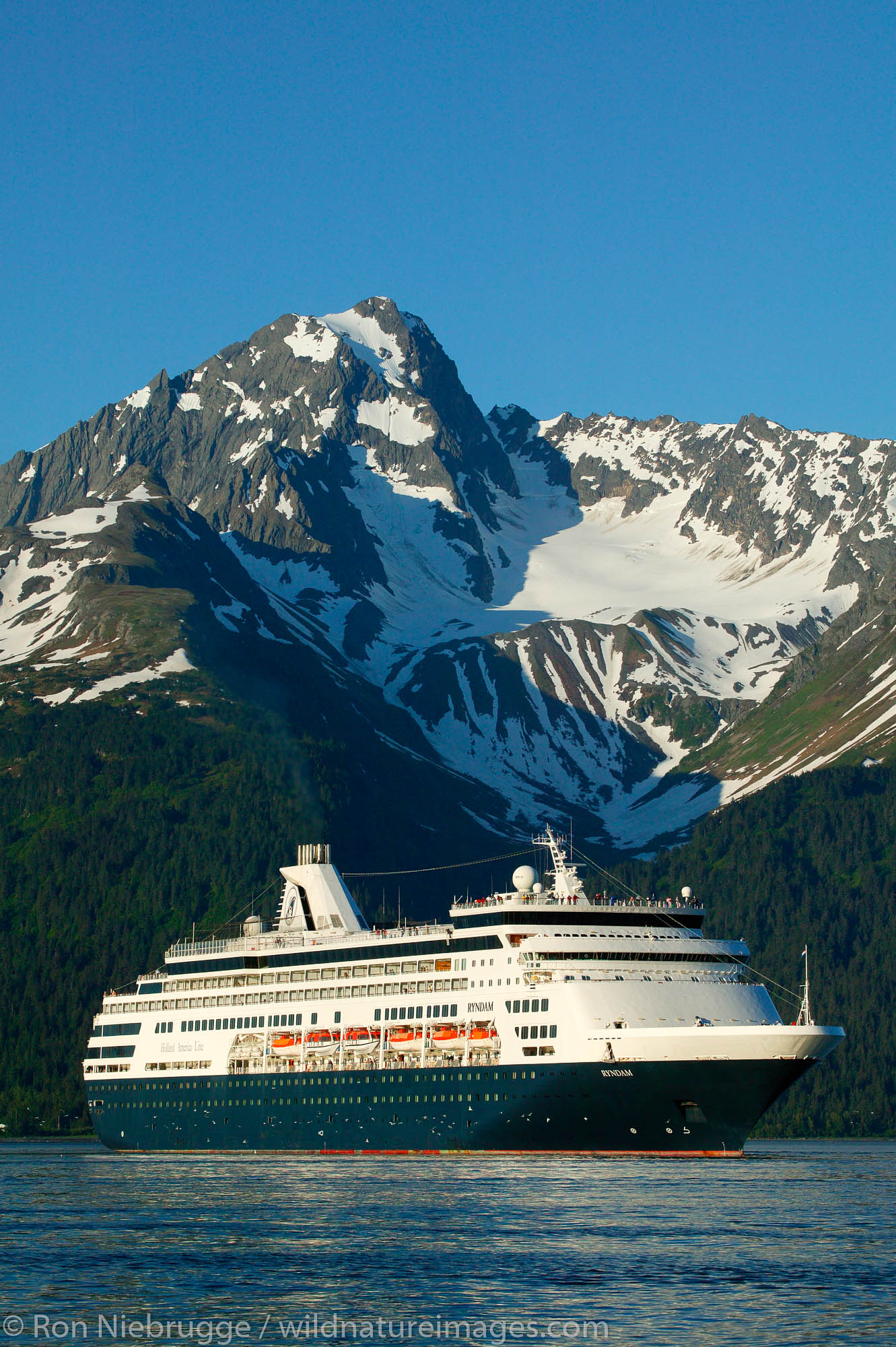 The Holland American Cruiseship Ryndam in Resurrection Bay in Seward, Alaska.