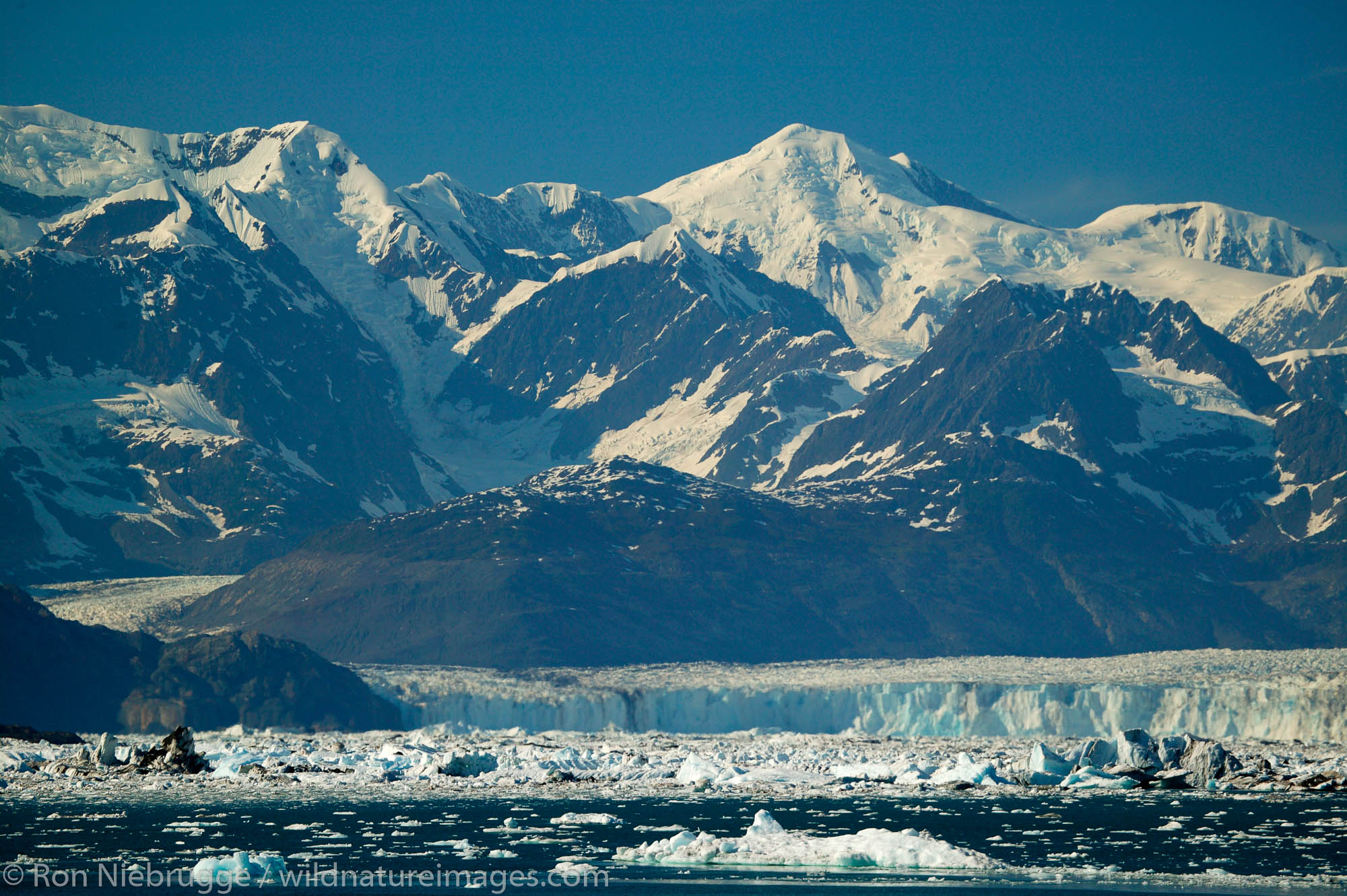 The Columbia Glacier and Columbia Bay from the Alaska State Ferry Aurora, Prince William Sound, Alaska.
