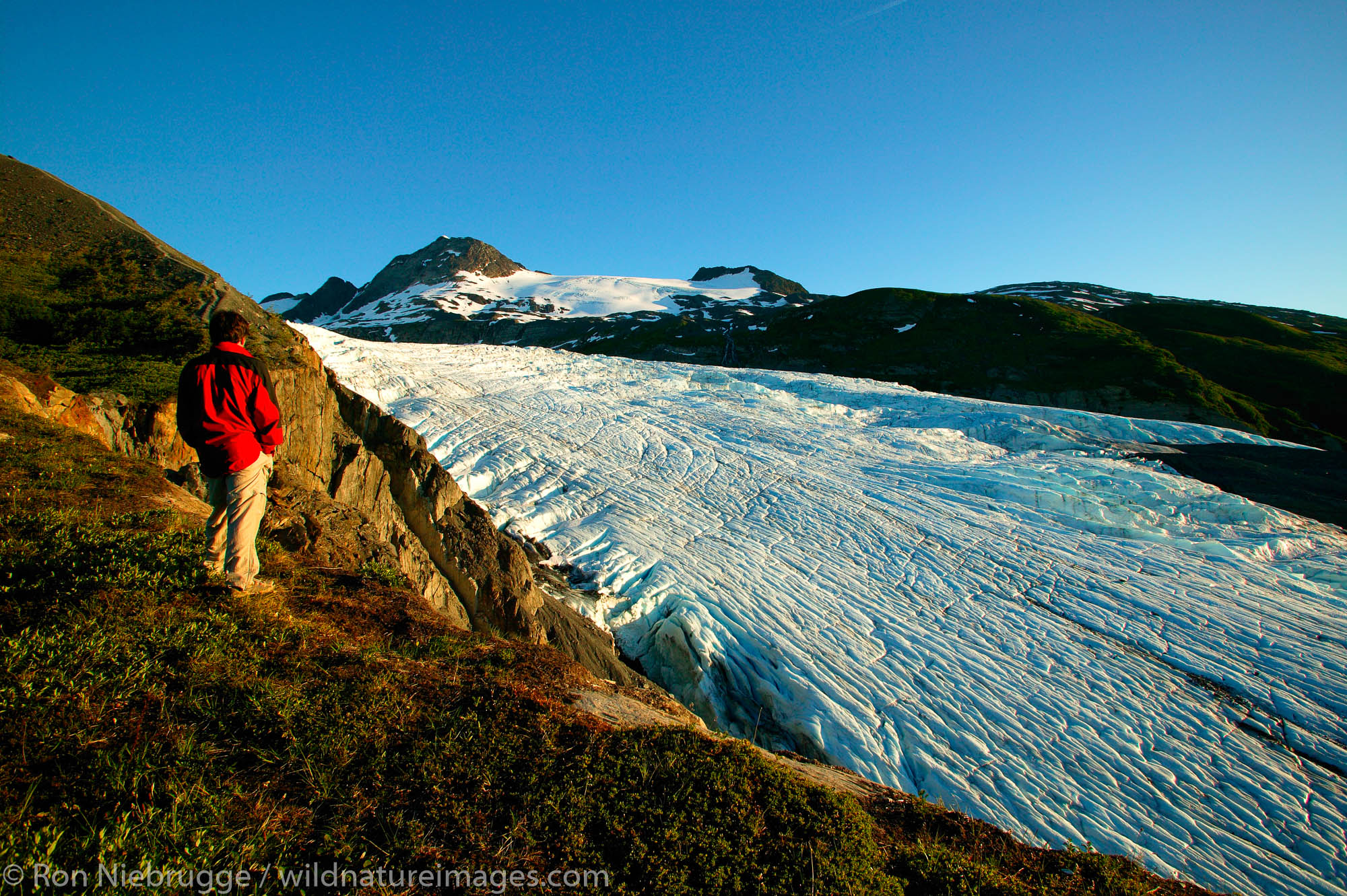 A visitor (MR) view the Worthington glacier at the Worthington Glacier State Recreation Site in the Chugach Mountains and Chugach...