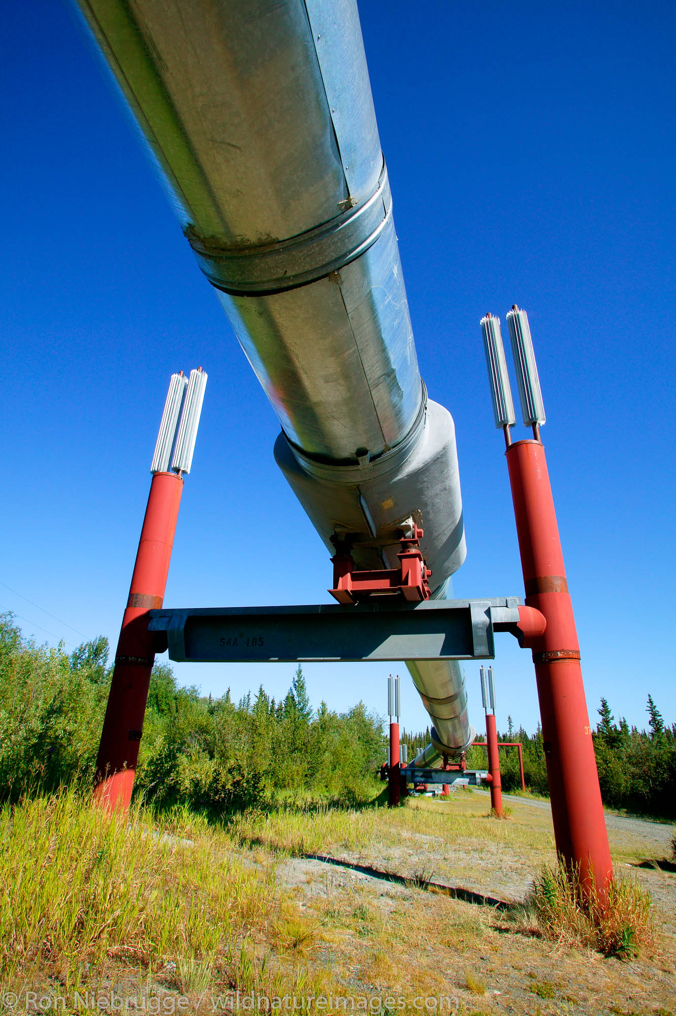 Trans-Alaska Pipeline, Copper River Valley, Alaska.