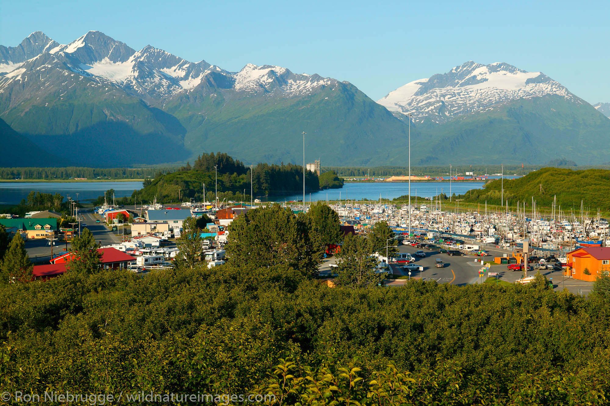 View from the overlook trail, Valdez, Alaska.