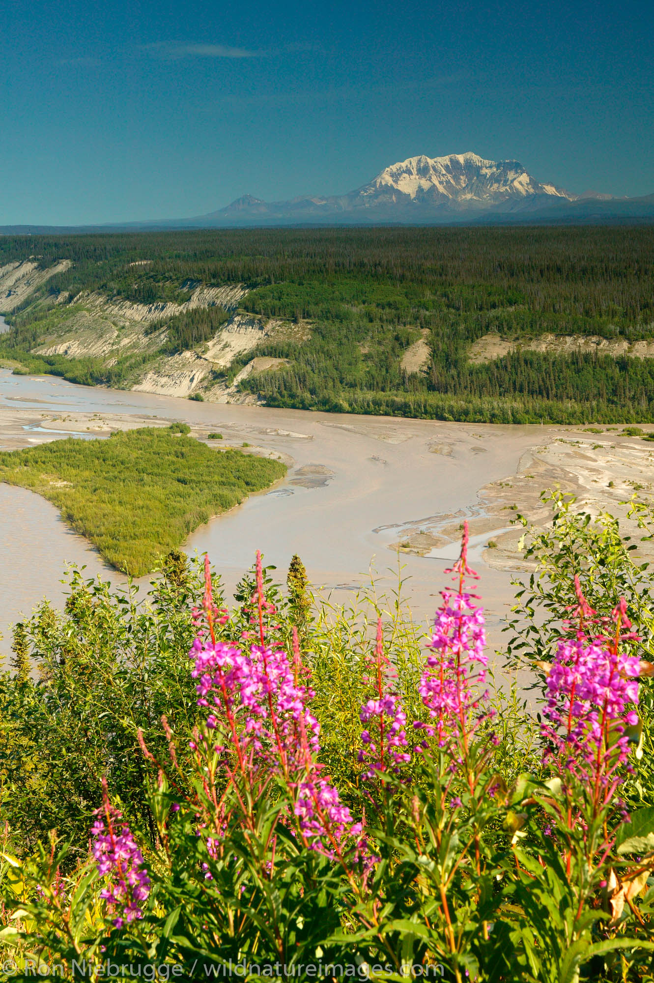 The Copper River and Mount Drum of the Wrangell Mountains, Wrangell Saint Elias National Park and Preserve, Alaska.