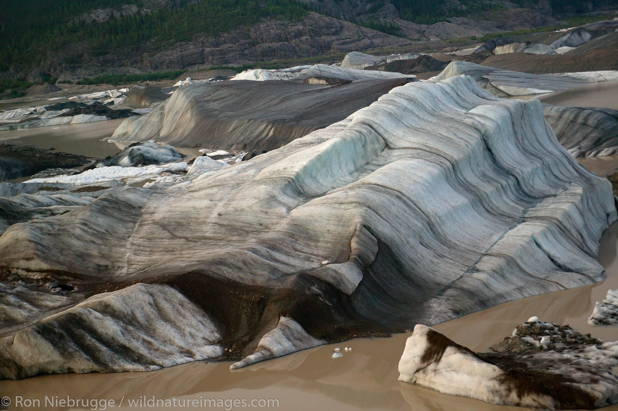 Icebergs from the Nizina Glacier, Wrangell-St. Elias National Park, Alaska.