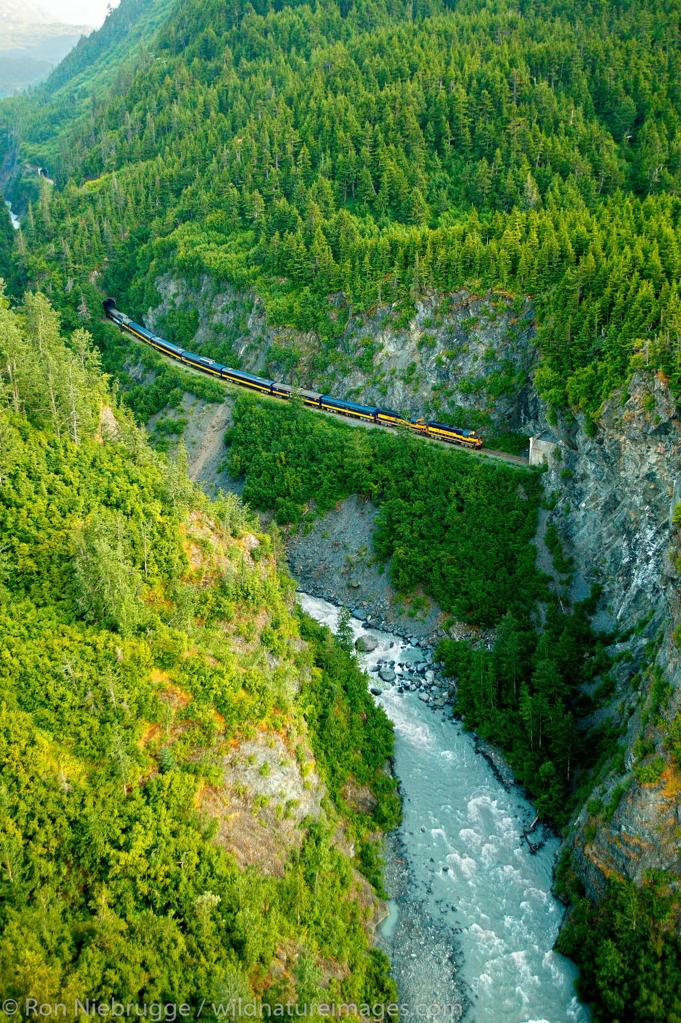 The Alaska Railroad travels through the Chugach Natonal Forest on the Kenai Peninsula, Alaska.