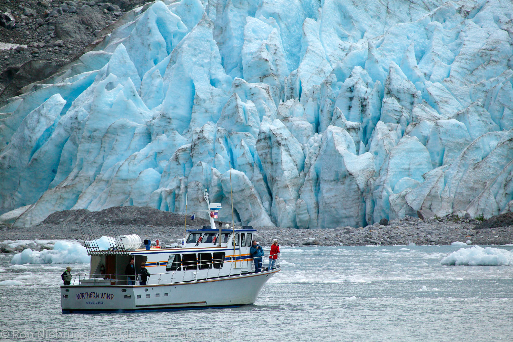 holgate glacier tour