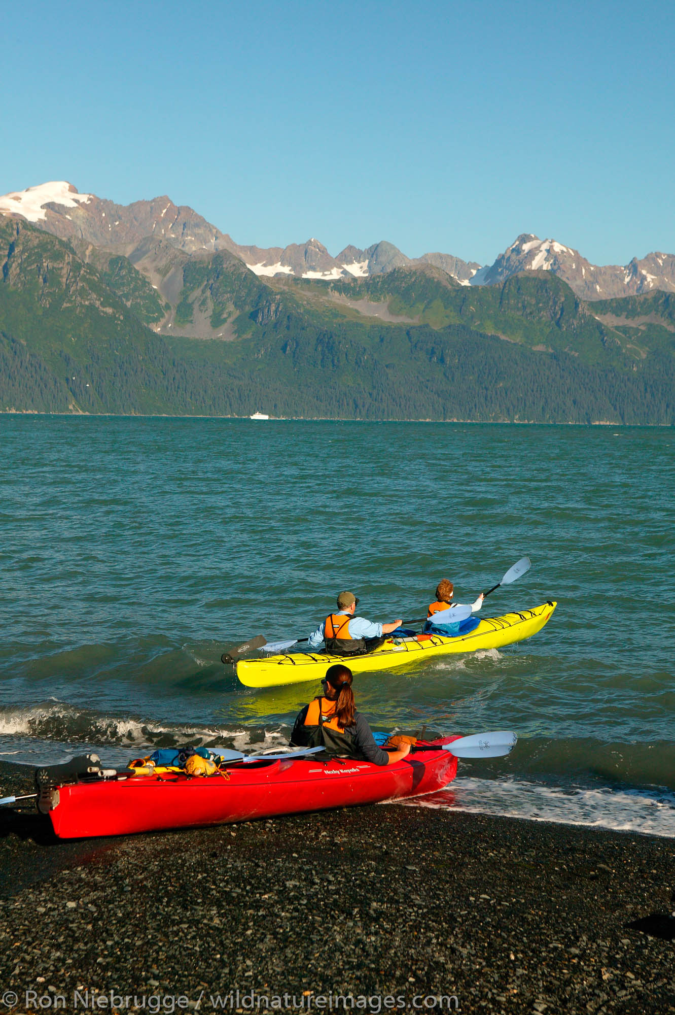 Kayaking on Resurrection Bay with the Chugach National Forest in the background, from Lowell Point, near Seward, Alaska.