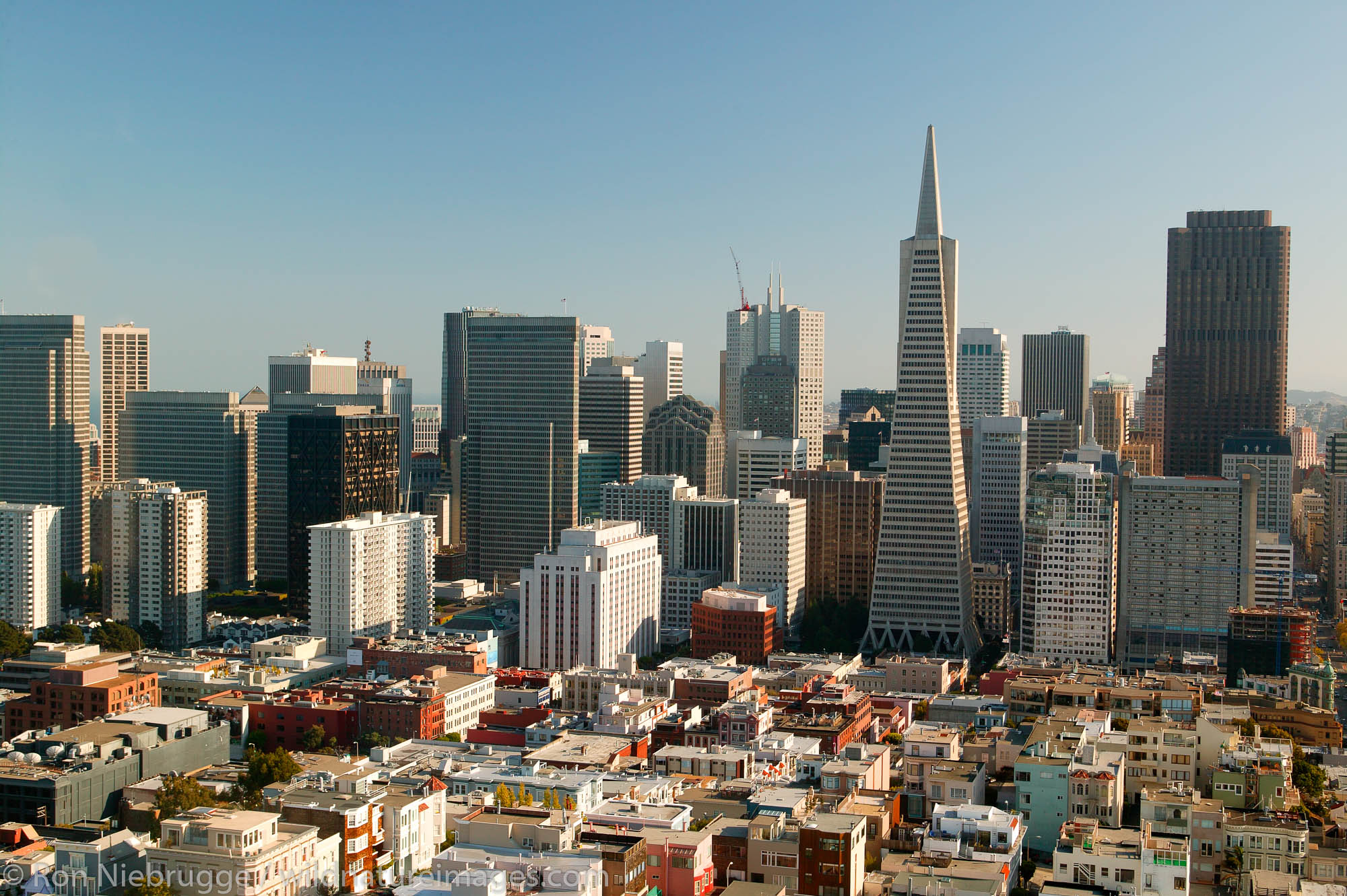 The view from Coit Tower, San Francisco, California.