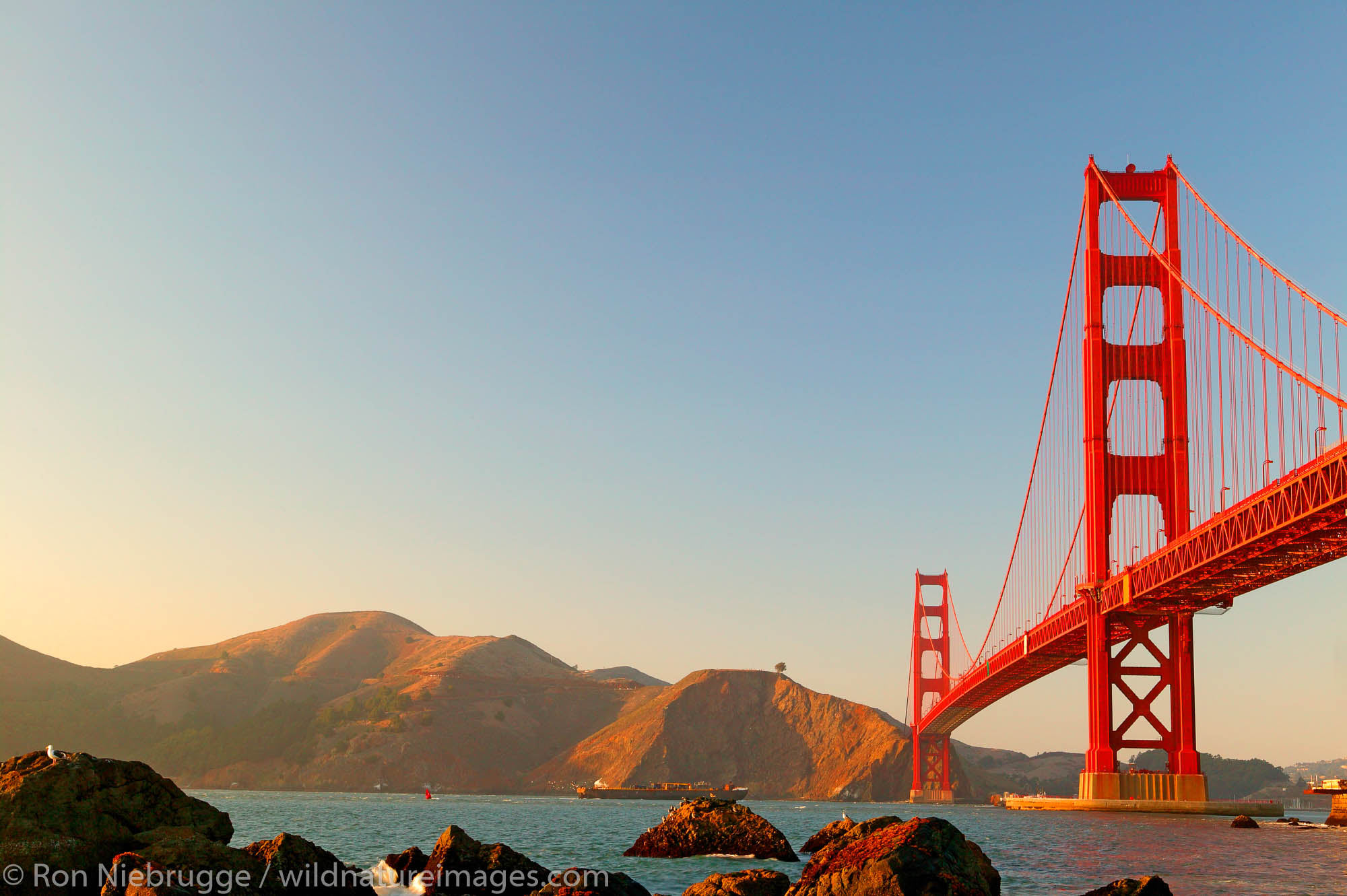 The Golden Gate Bridge in the evening from the Presidio, San Francisco, California.