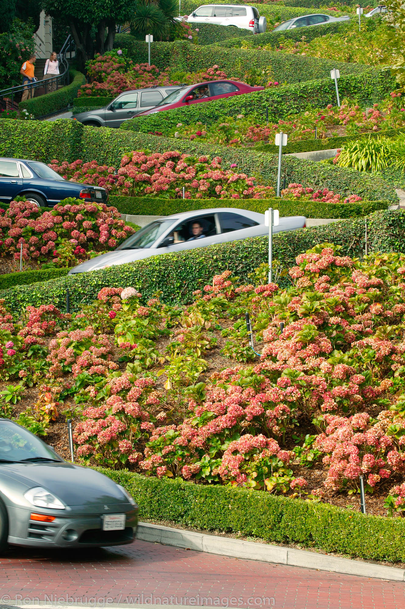The Crookedest Street, Lombard Street, San Francisco, California.