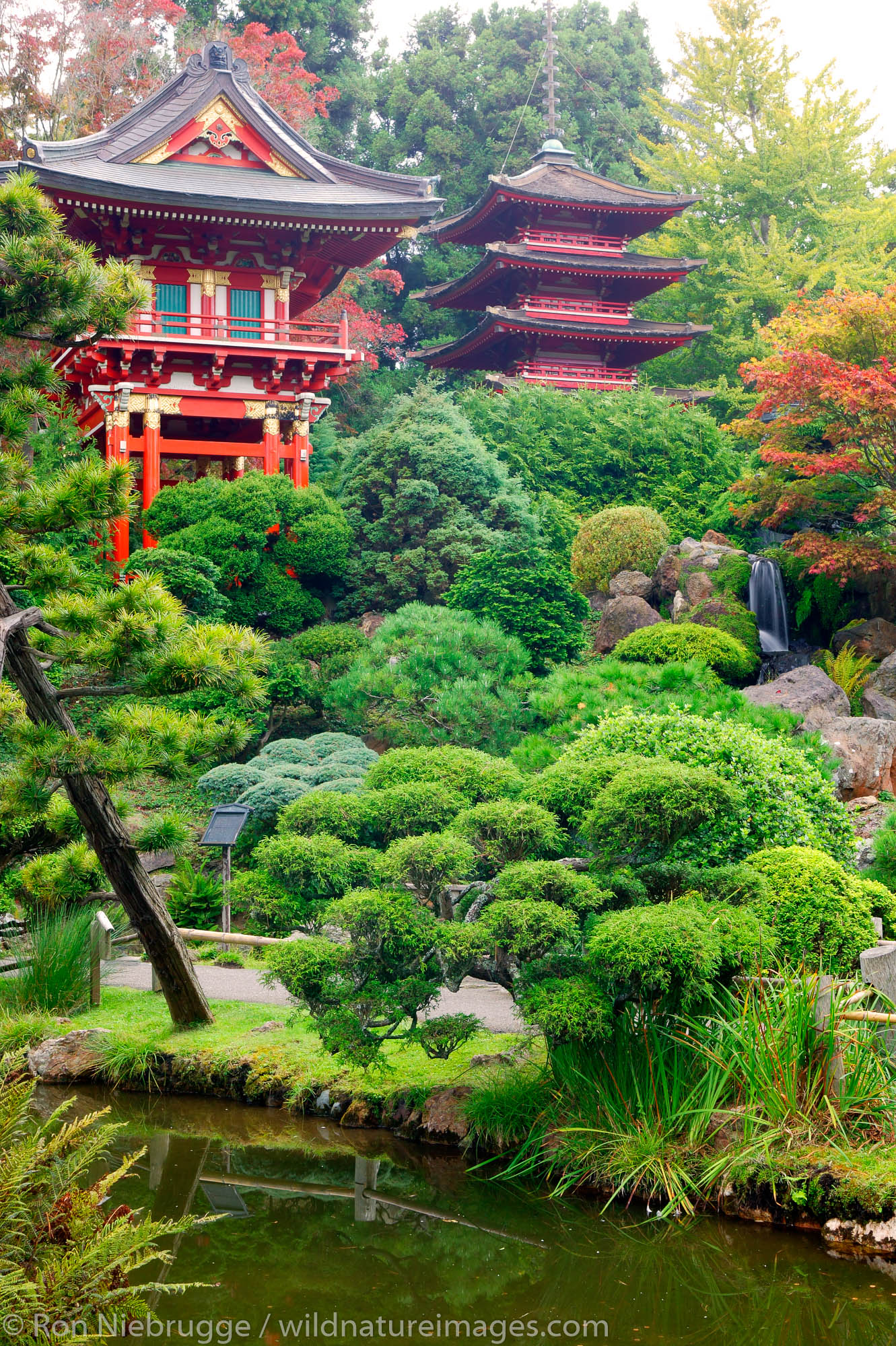 The Temple Gate and Buddhist Pagoda in the Japanese Tea Garden, Golden Gate Park, San Francisco, California.