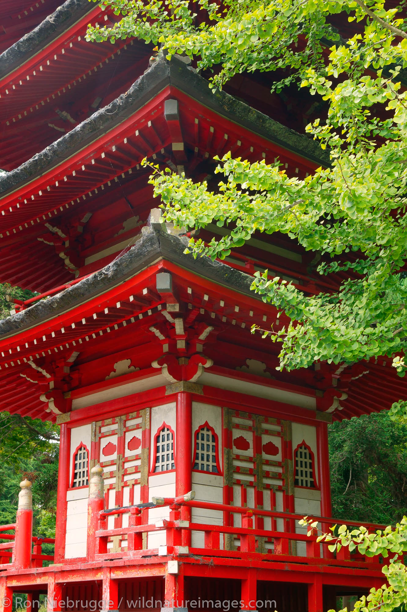 A Buddhist Pagoda at the Japanese Tea Garden, Golden Gate Park, San Francisco, California.