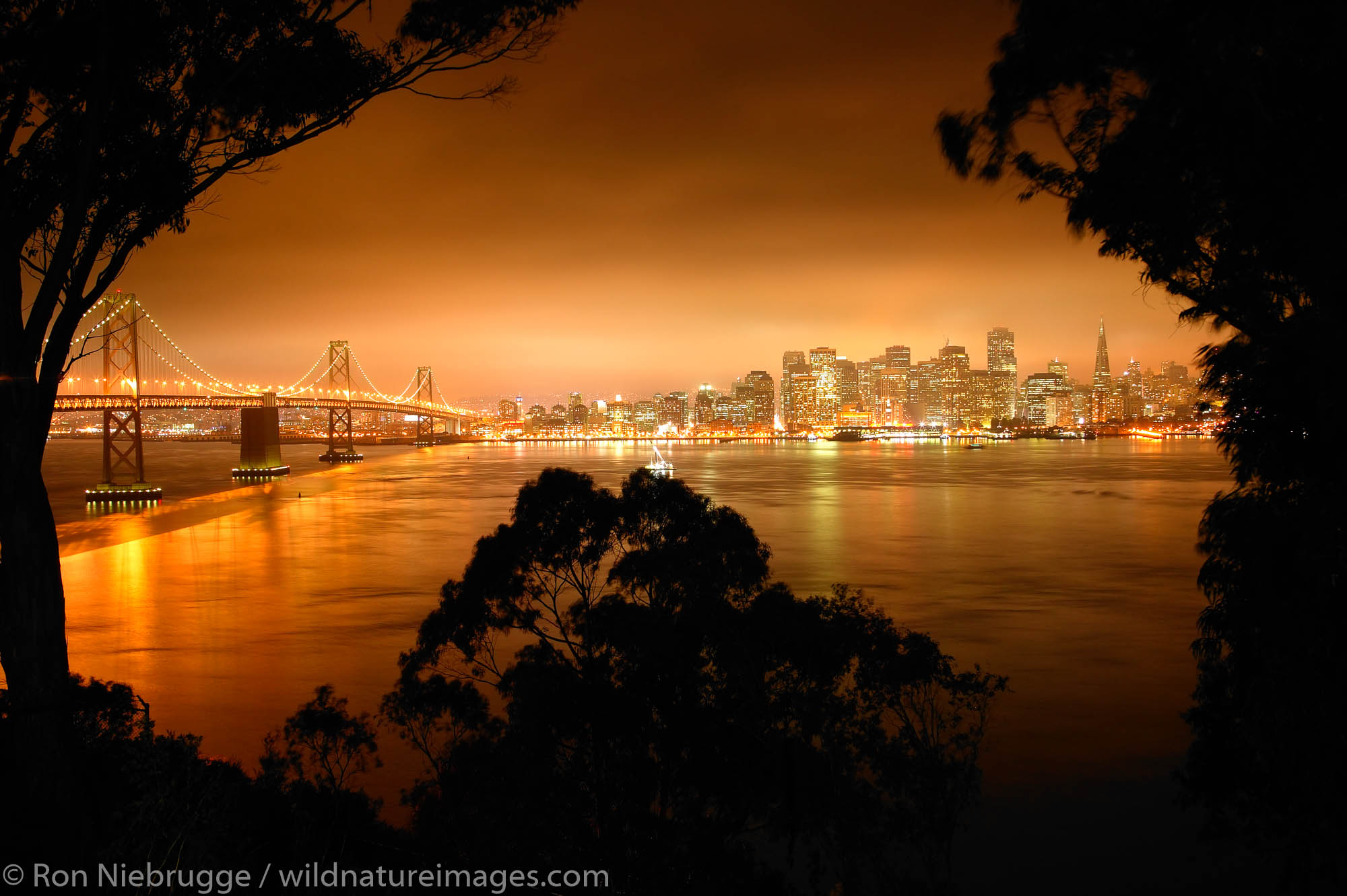 The Bay Bridge and the city of San Francisco from Yerba Buena Island, California.