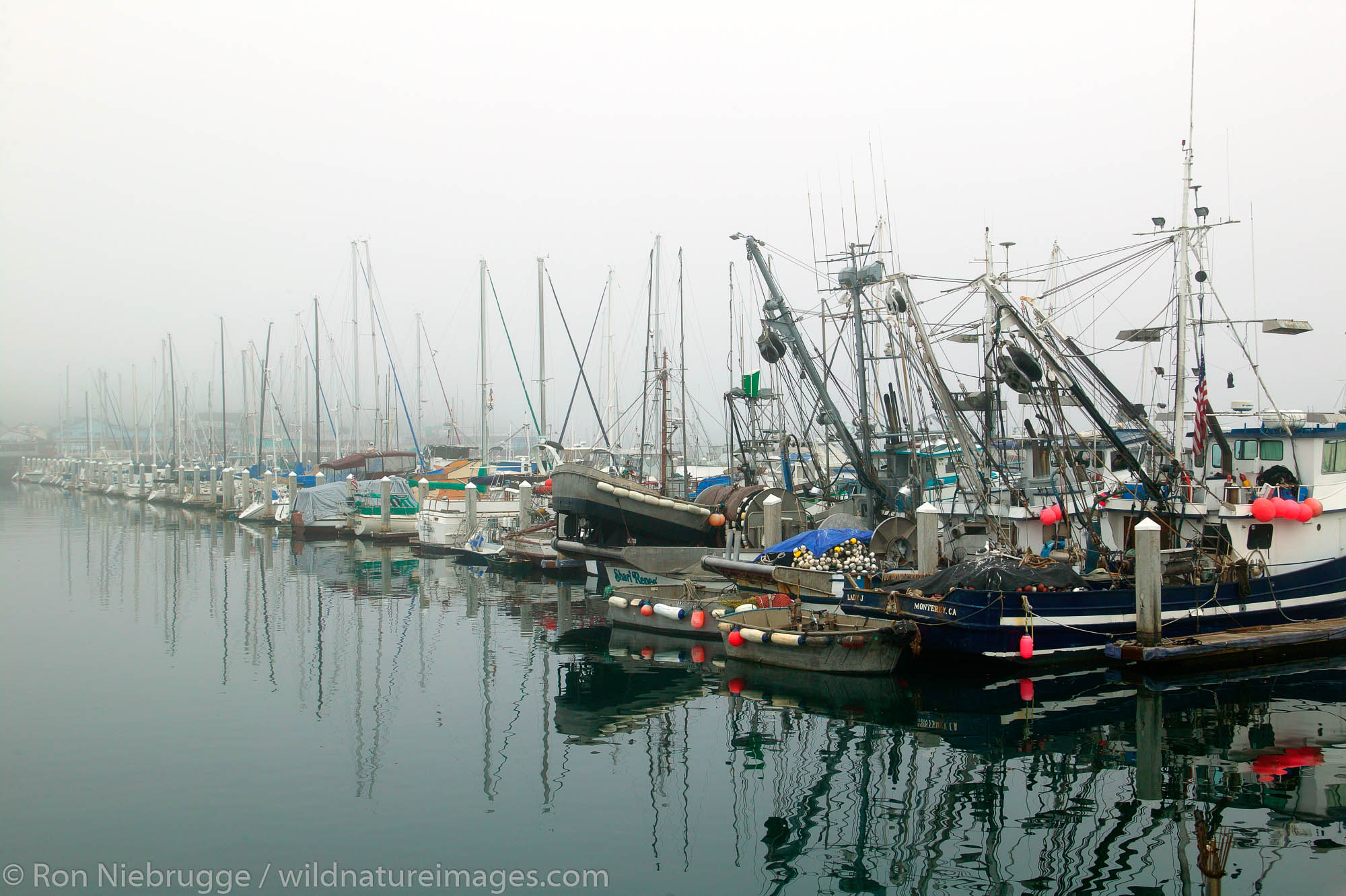 Boats in the Monterey Municipal Marina during a foggy morning, Monterey, California.