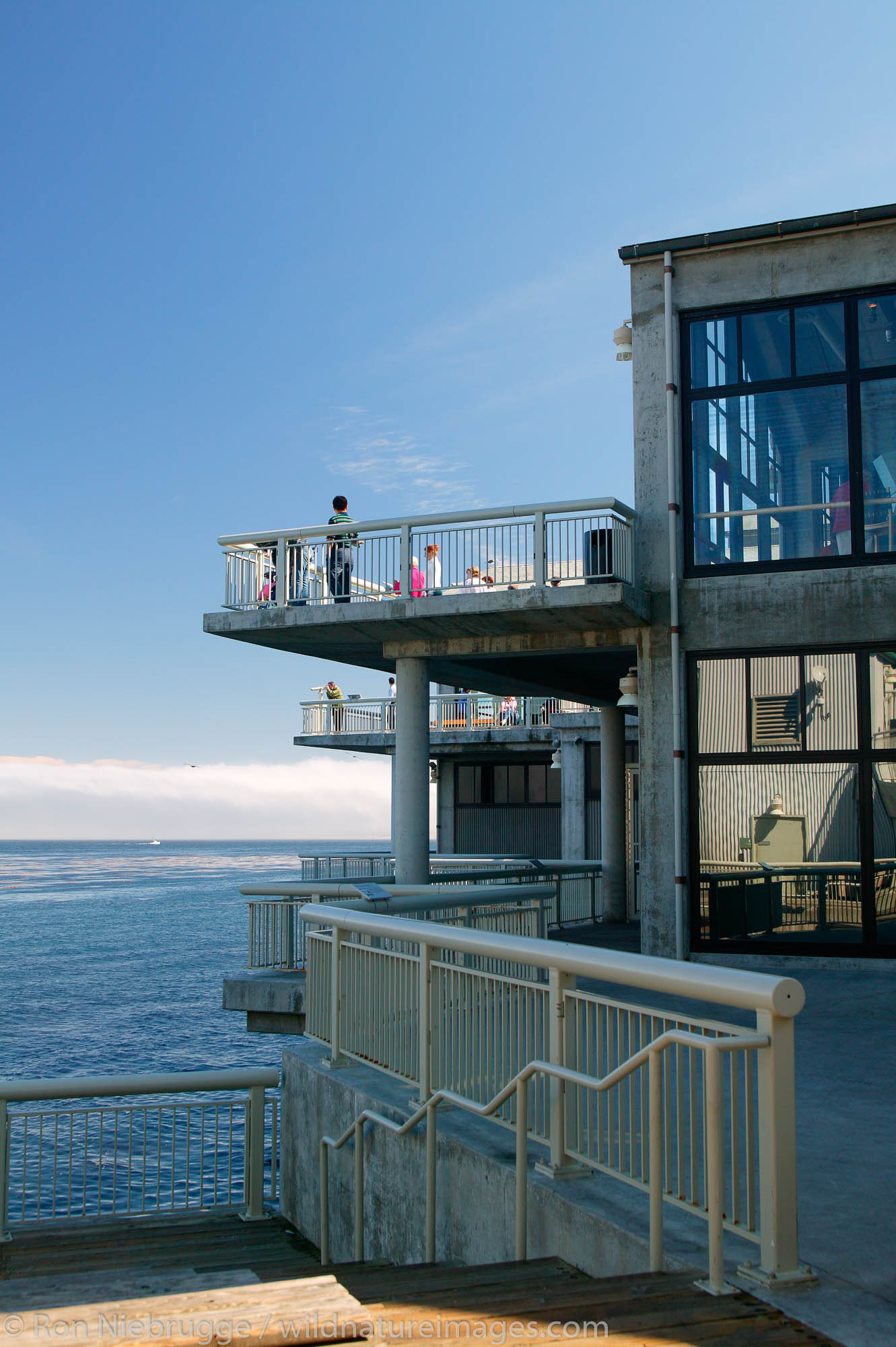The Monterey Bay Aquarium, Cannery Row, Monterey, California.