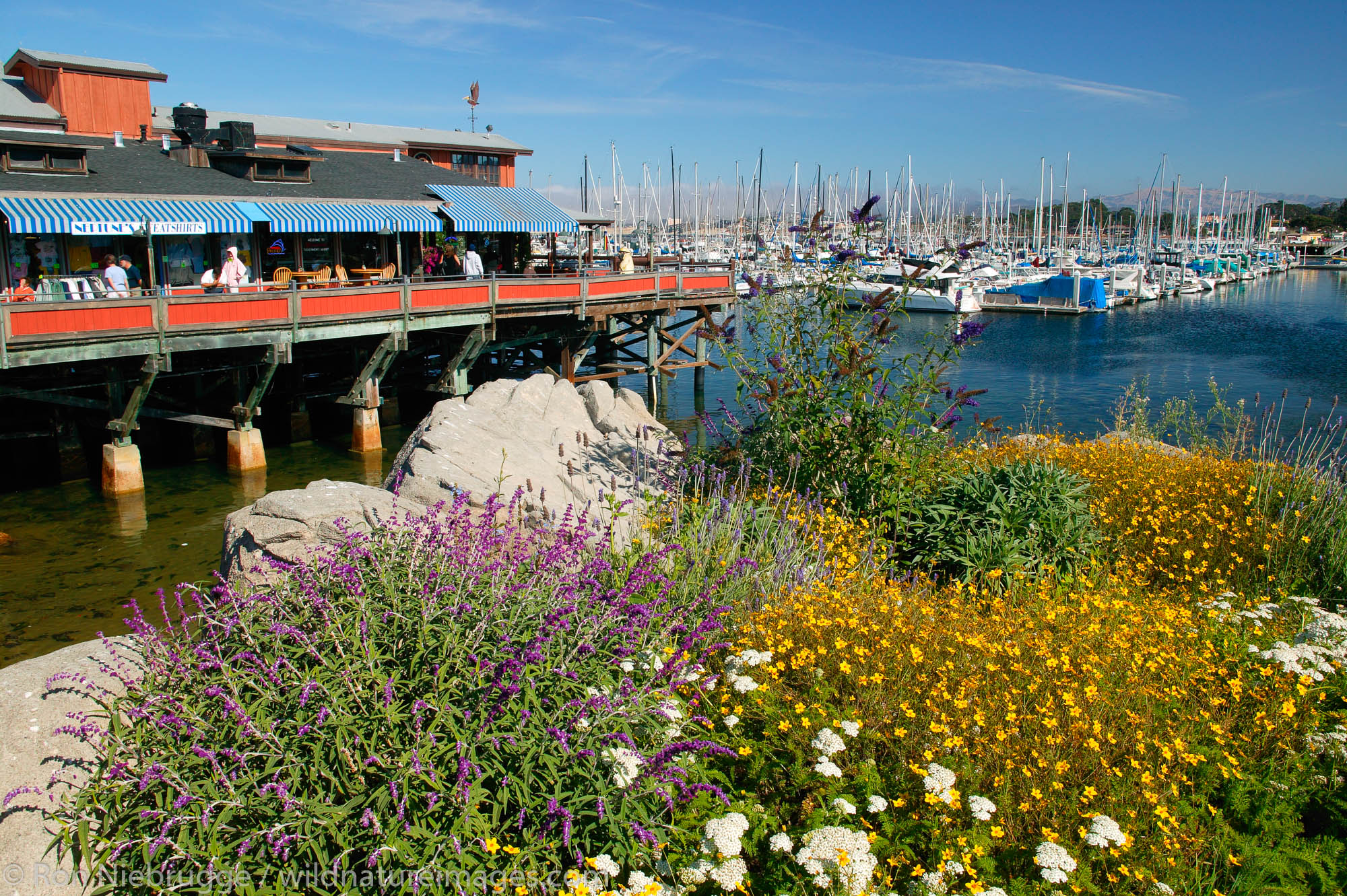 Old Fisherman's Wharf and the Monterey Municipal Marina, Monterey, California.