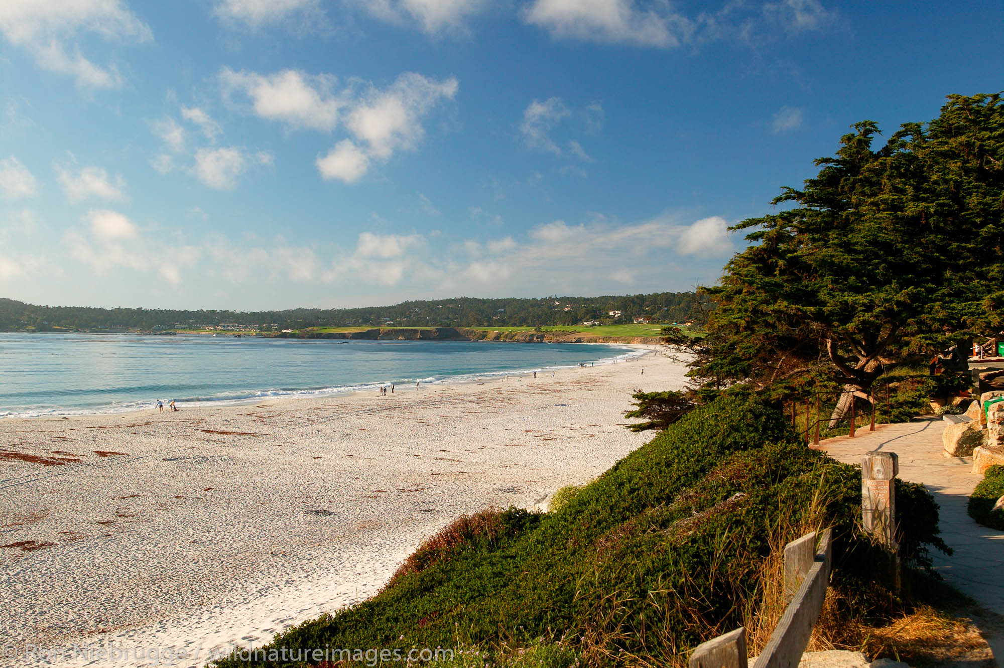 The beach and bay at Carmel By The Sea, California.