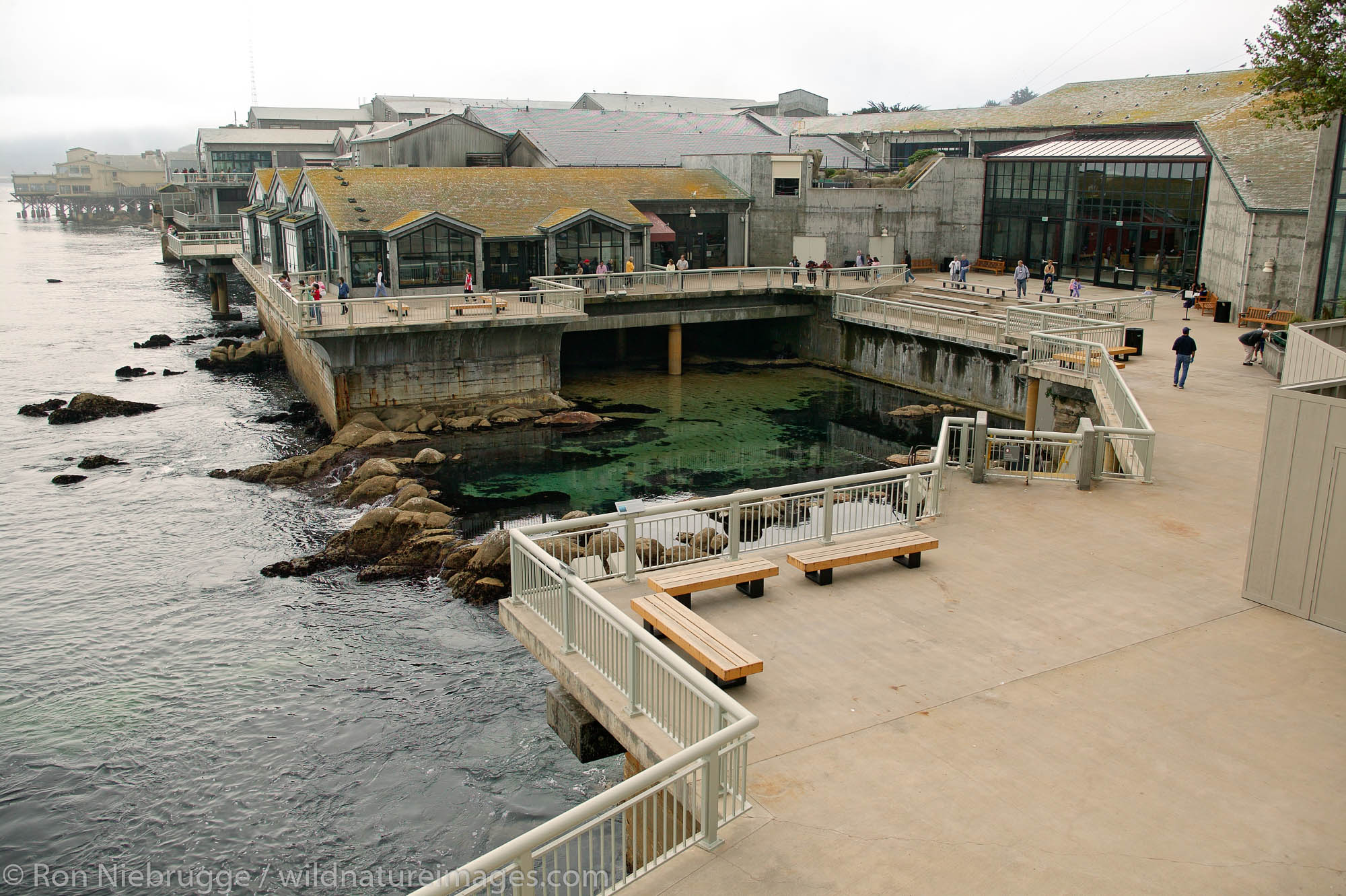 The Monterey Bay Aquarium, Monterey, California.