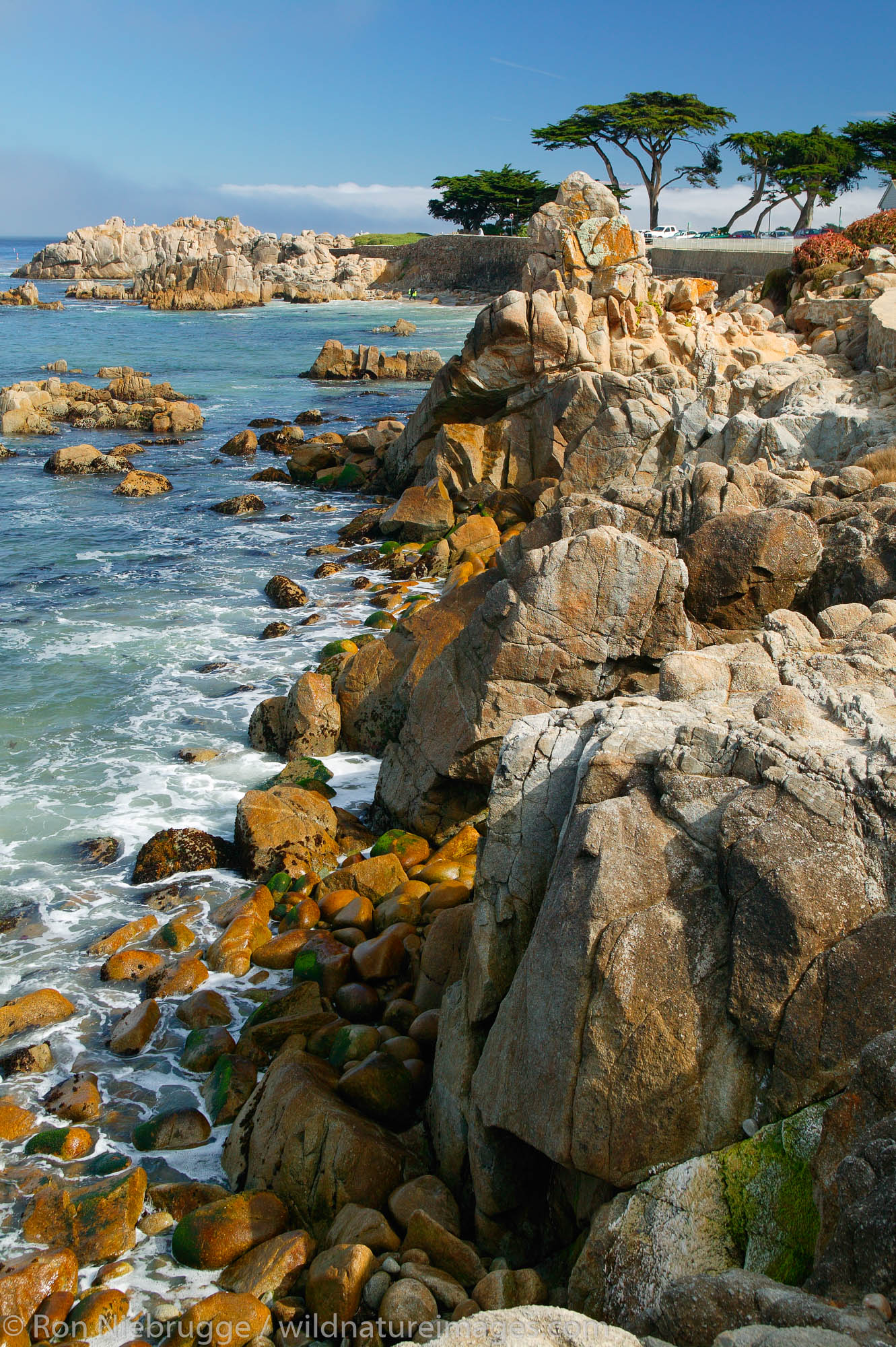 The rocky coastline, Pacific Grove, California.