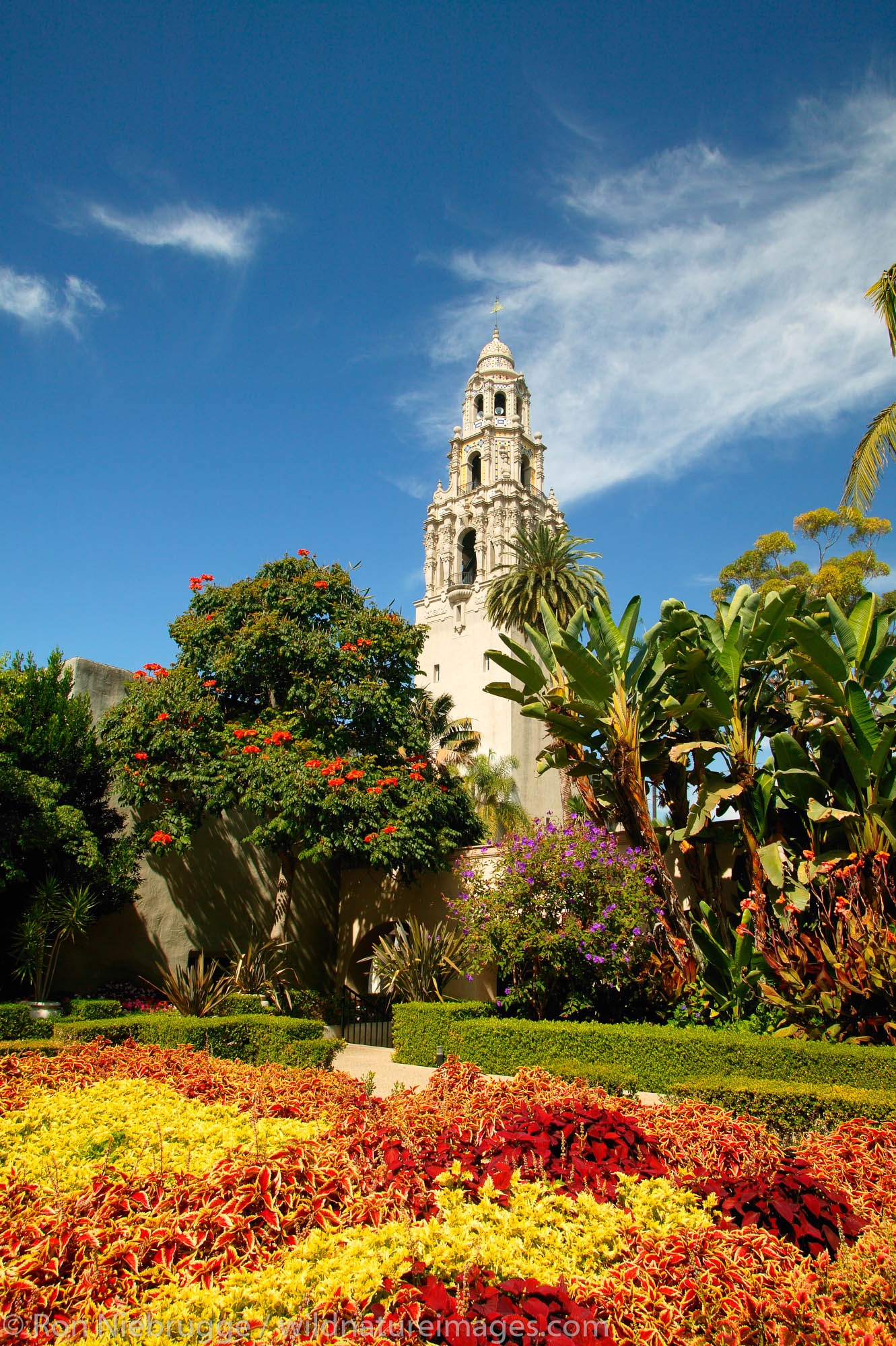 The California Tower and the Museum of Man with the Casa del Rey Moro Garden, Balboa Park, San Diego, California.