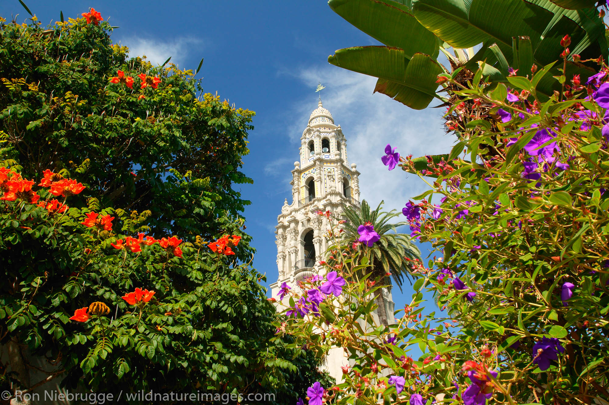 The California Tower and the Museum of Man with the Casa del Rey Moro Garden, Balboa Park, San Diego, California.