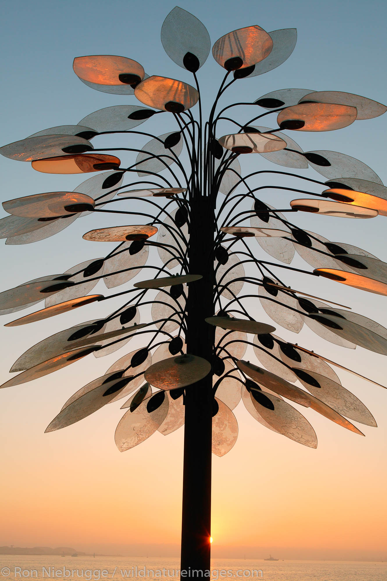 This tree sculpture seen at sunset along the downtown water front embarcadero is part of an urban tree art program, San Diego...