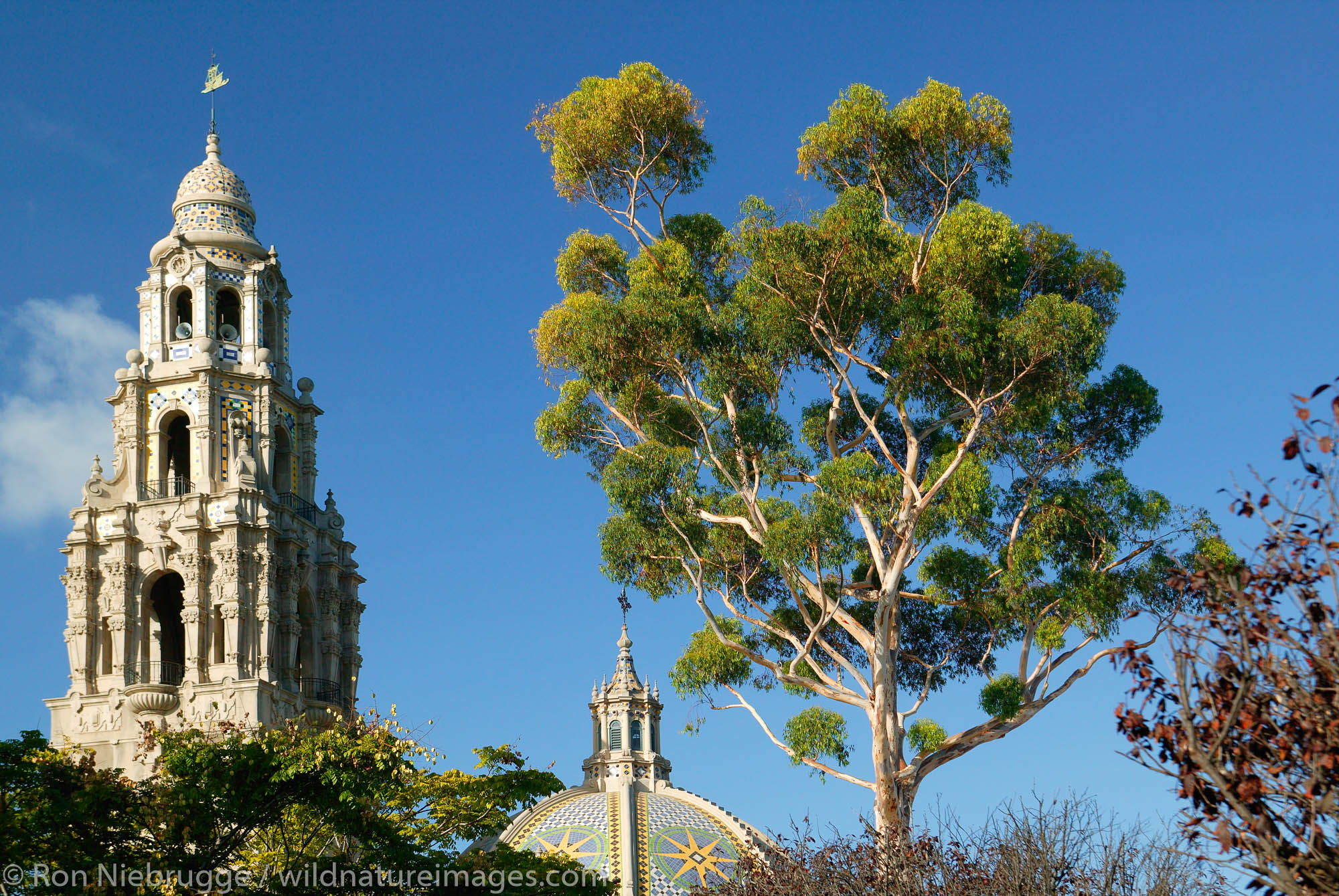 The California Tower and the Museum of Man, Balboa Park, San Diego, California.