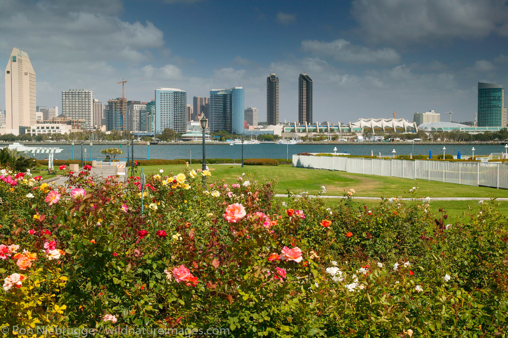 The downtown San Diego skyline as viewed from Centennial Park,  Coronado, San Diego, California.