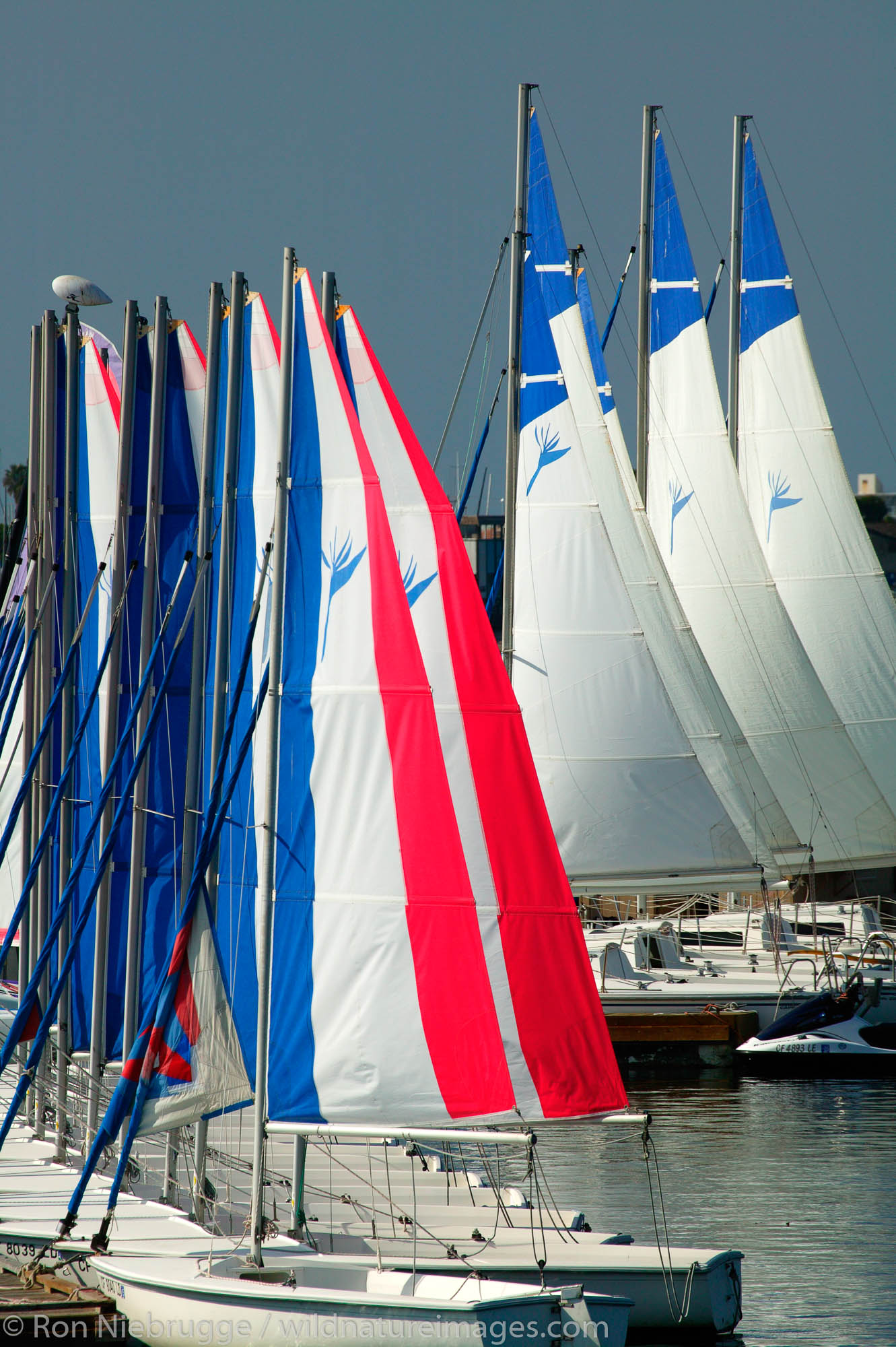 Sailboats on Vacation Island, Mission Bay, San Diego, California.