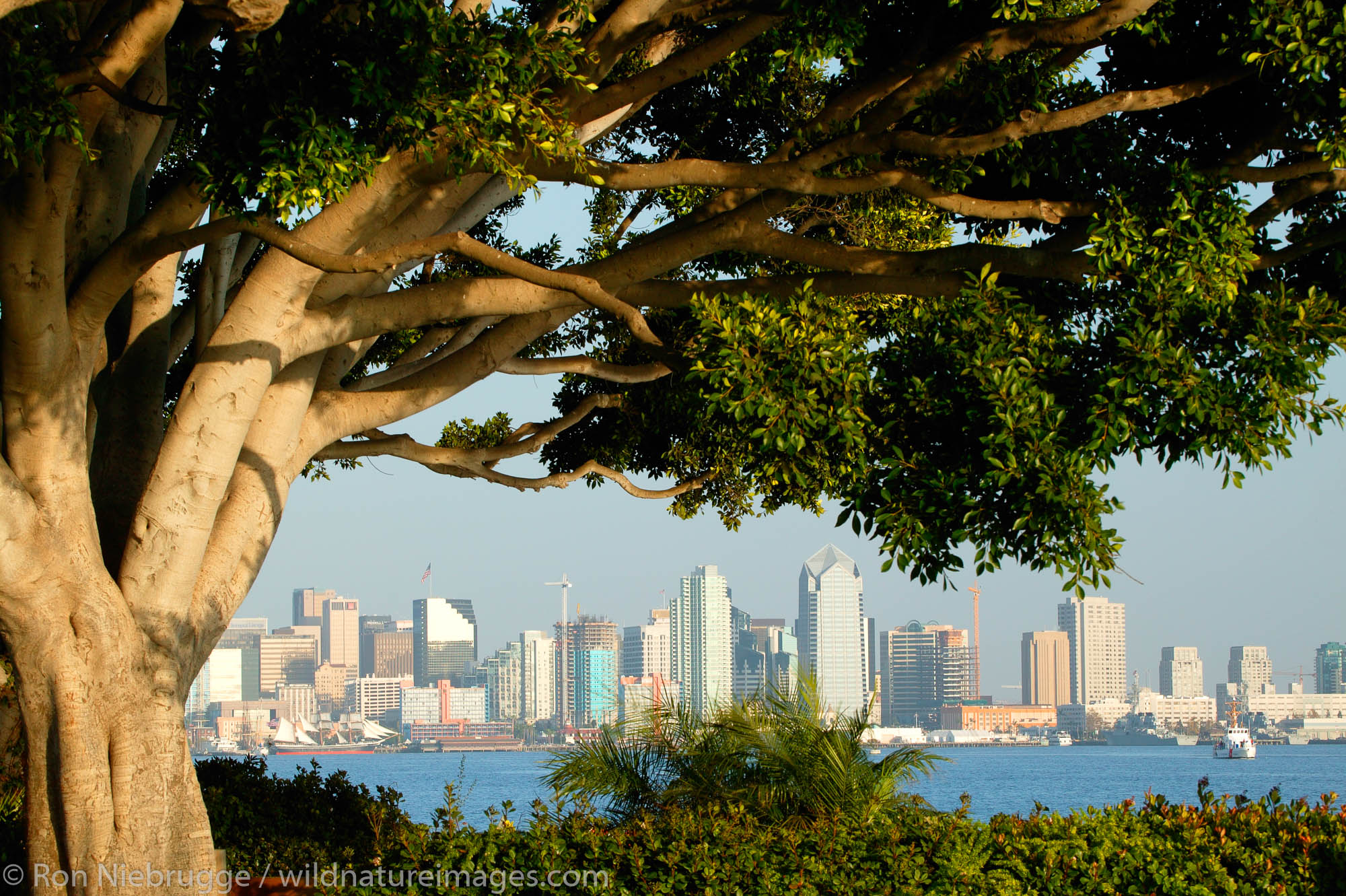 View of downtown from Harbor Island, San Diego, California.