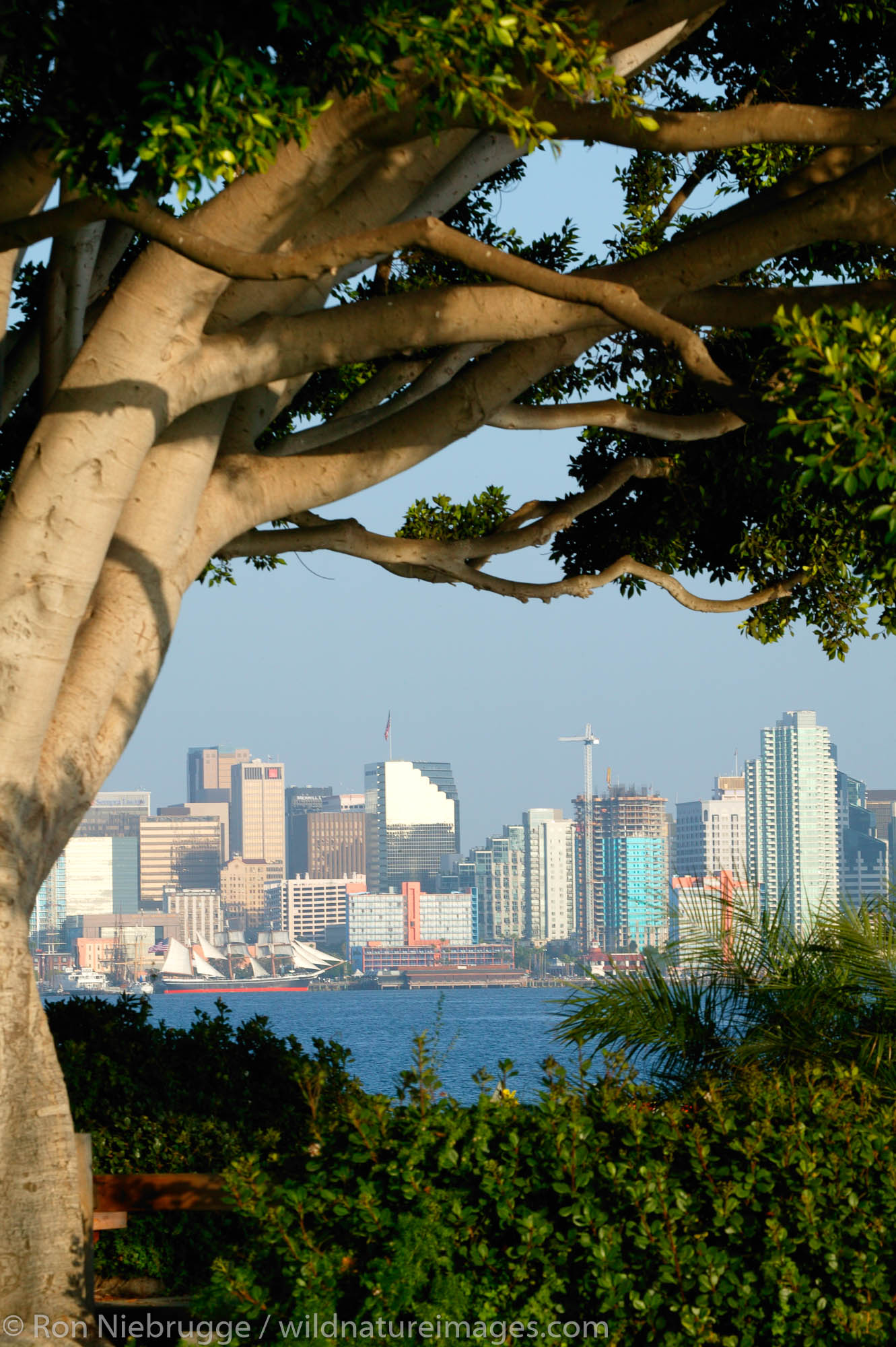 View of downtown from Harbor Island, San Diego, California.