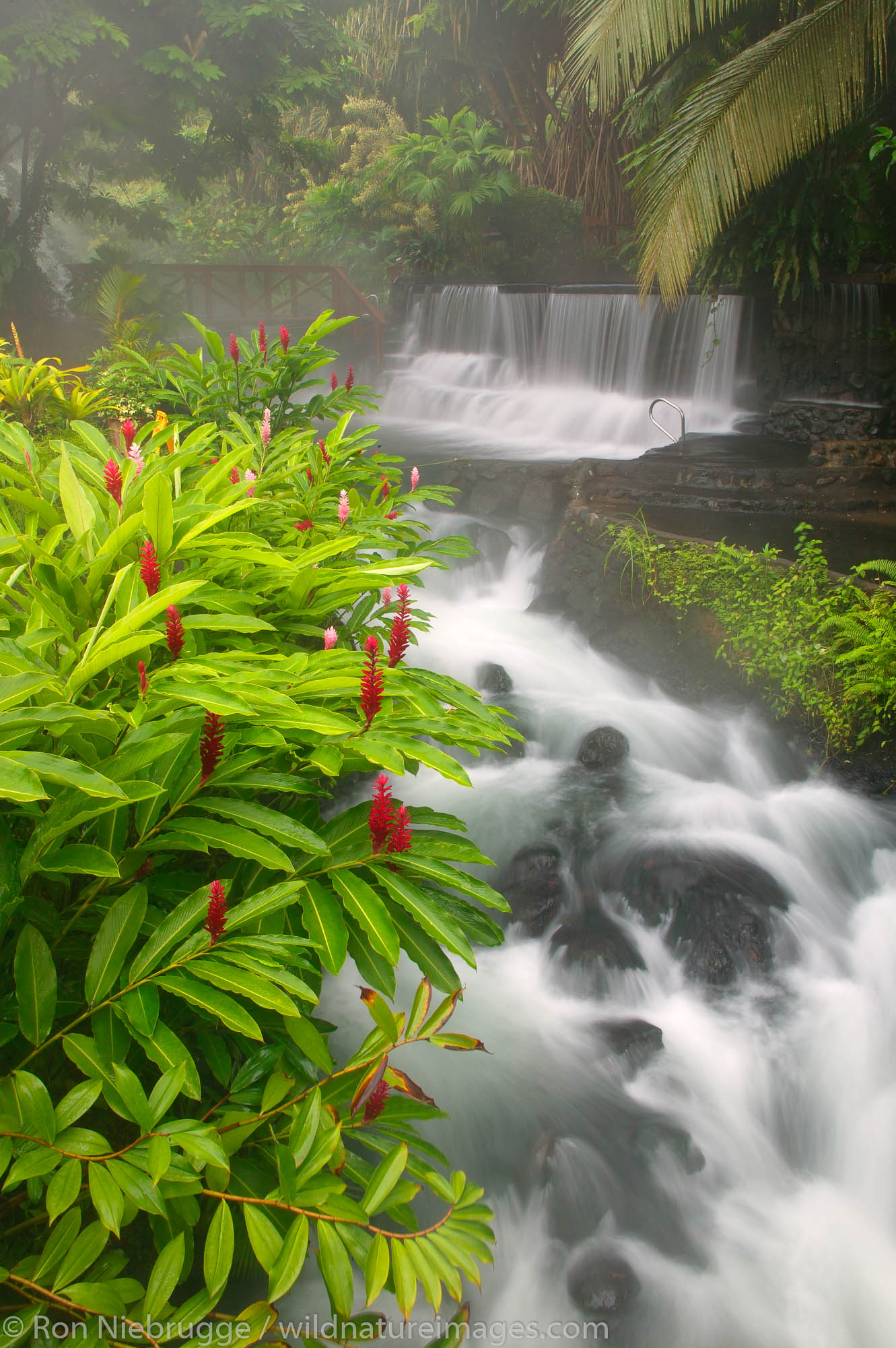 Stream flowing through Tabacon Hot Spring Resort and Spa, Costa Rica.