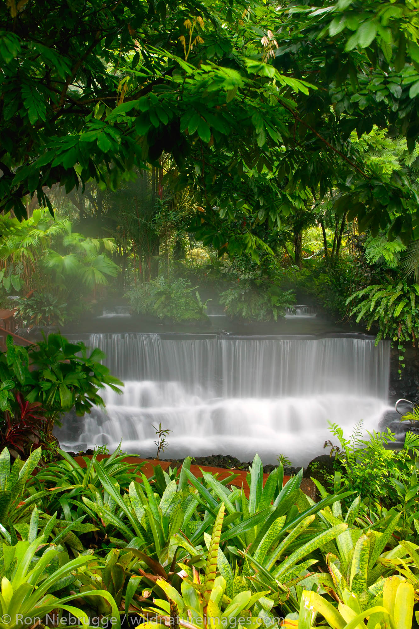 Stream flowing through Tabacon Hot Spring Resort and Spa, Costa Rica.