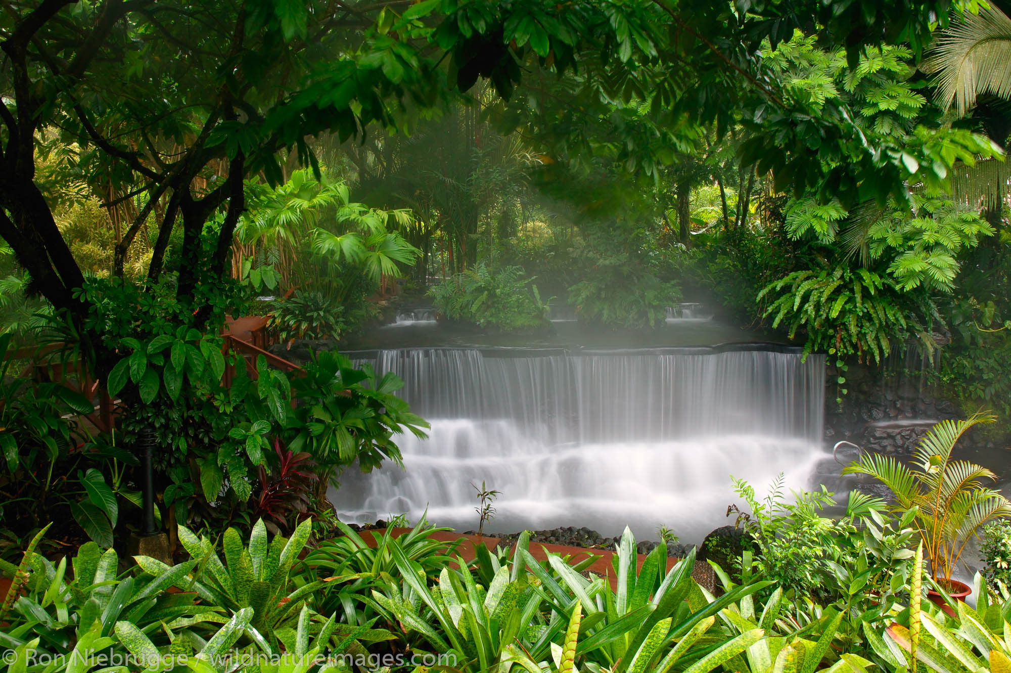 Stream flowing through Tabacon Hot Spring Resort and Spa, Costa Rica.