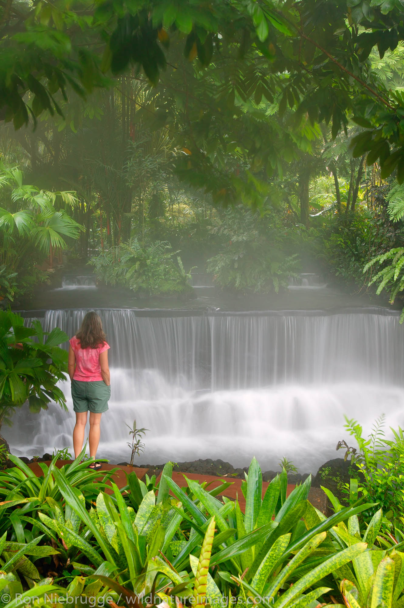 A visitor (mr) enjoys watching a stream flowing through Tabacon Hot Spring Resort and Spa, Costa Rica.