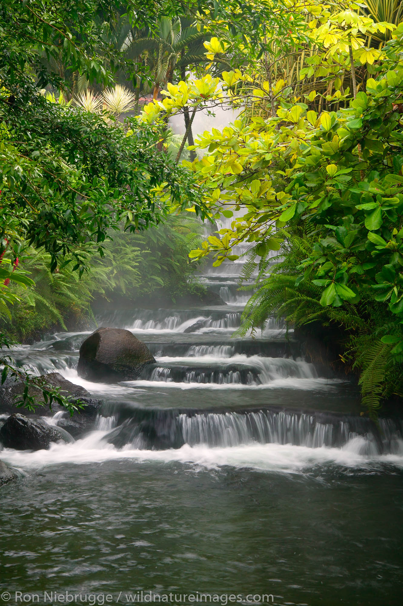 Stream flowing through Tabacon Hot Spring Resort and Spa, Costa Rica.