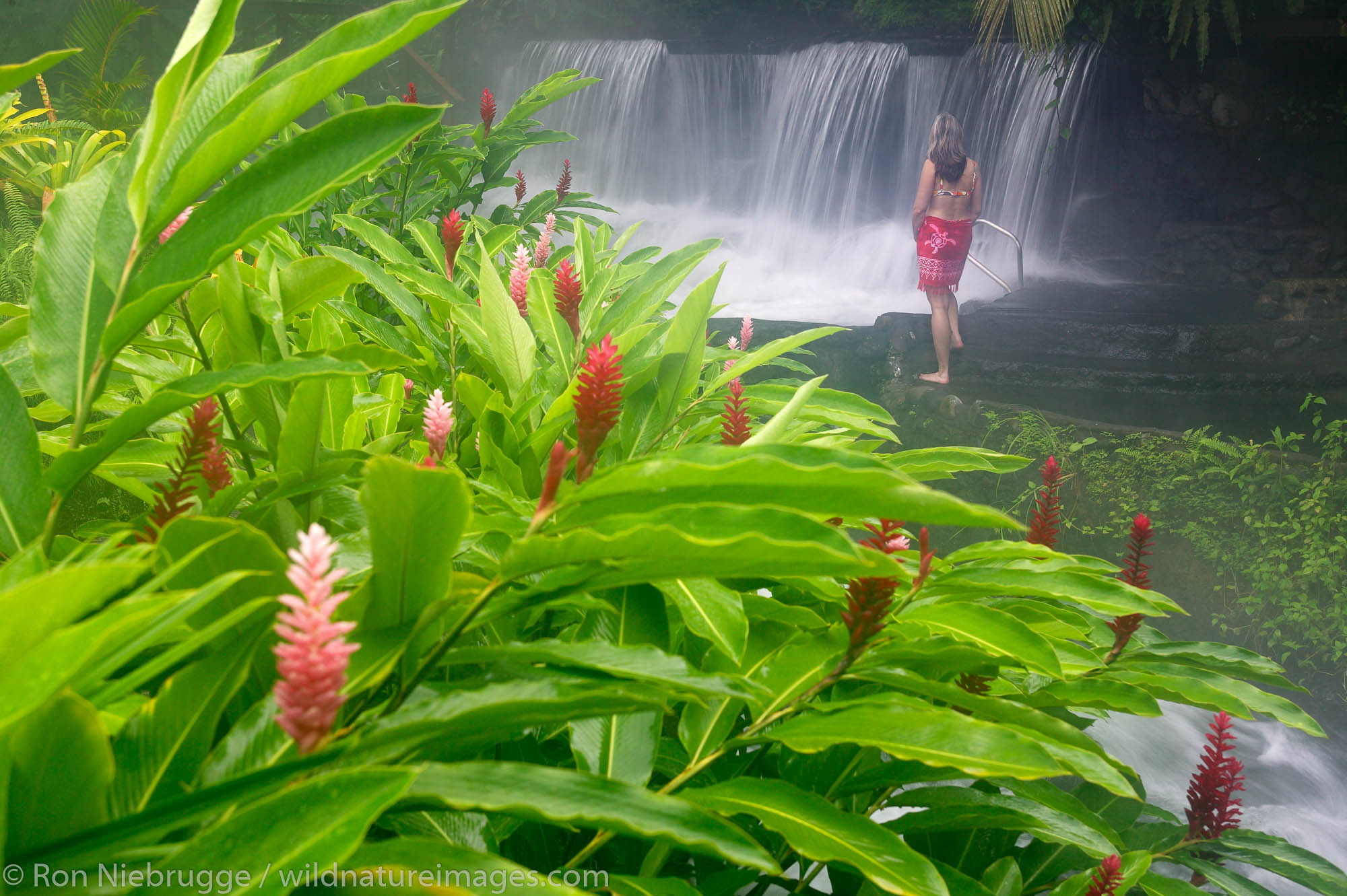 A visitor (mr) enjoys a hot water stream flows through Tabacon Hot Spring Resort and Spa Costa Rica.