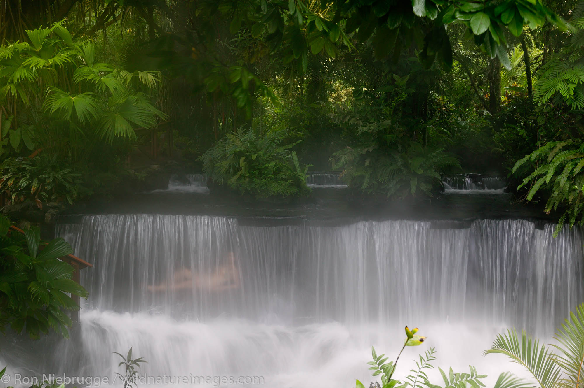 A visitor (mr) enjoys a hot water stream flows through Tabacon Hot Spring Resort and Spa Costa Rica.