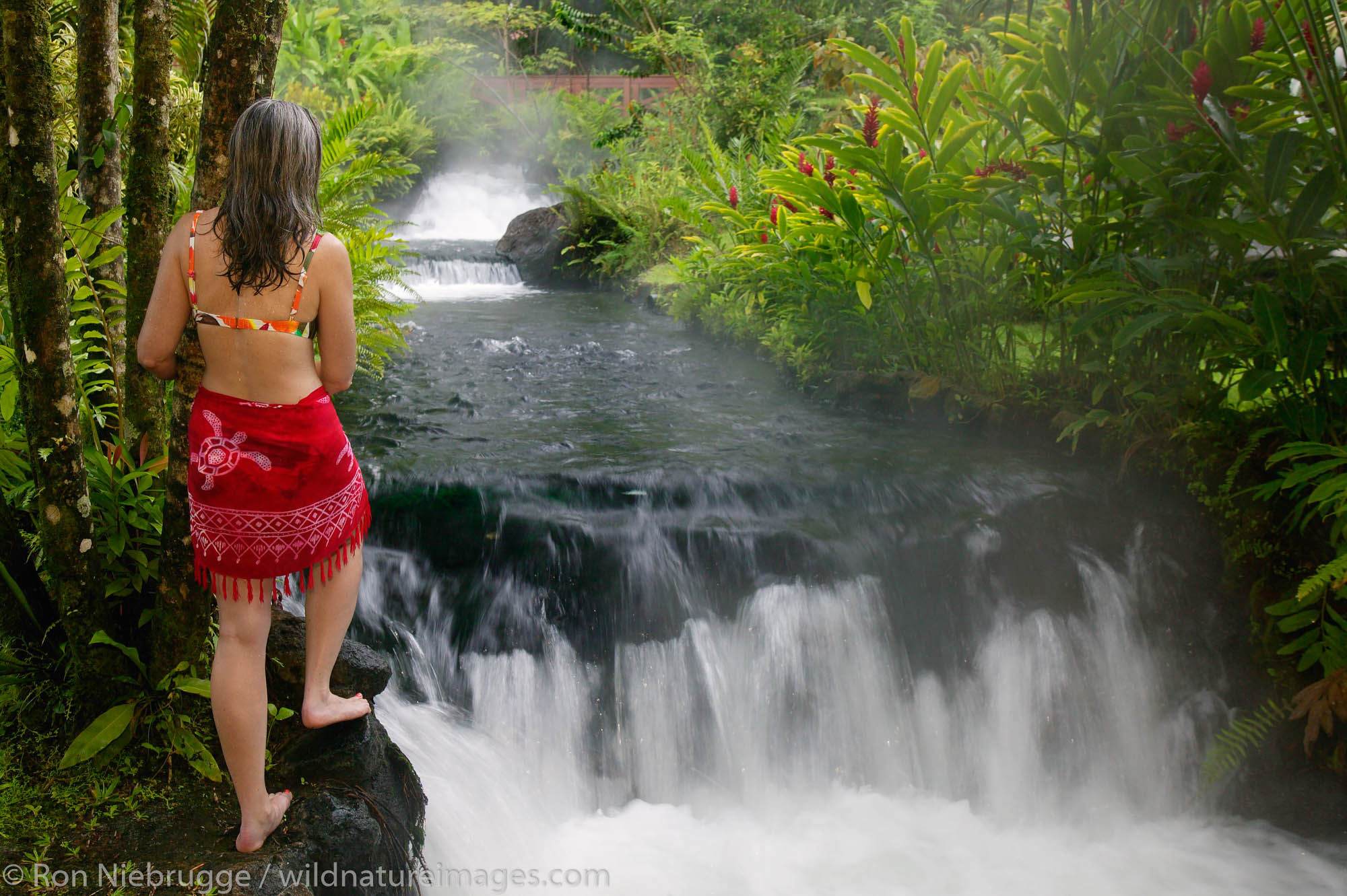 A visitor (mr) enjoys a hot water stream flows through Tabacon Hot Spring Resort and Spa, Costa Rica.
