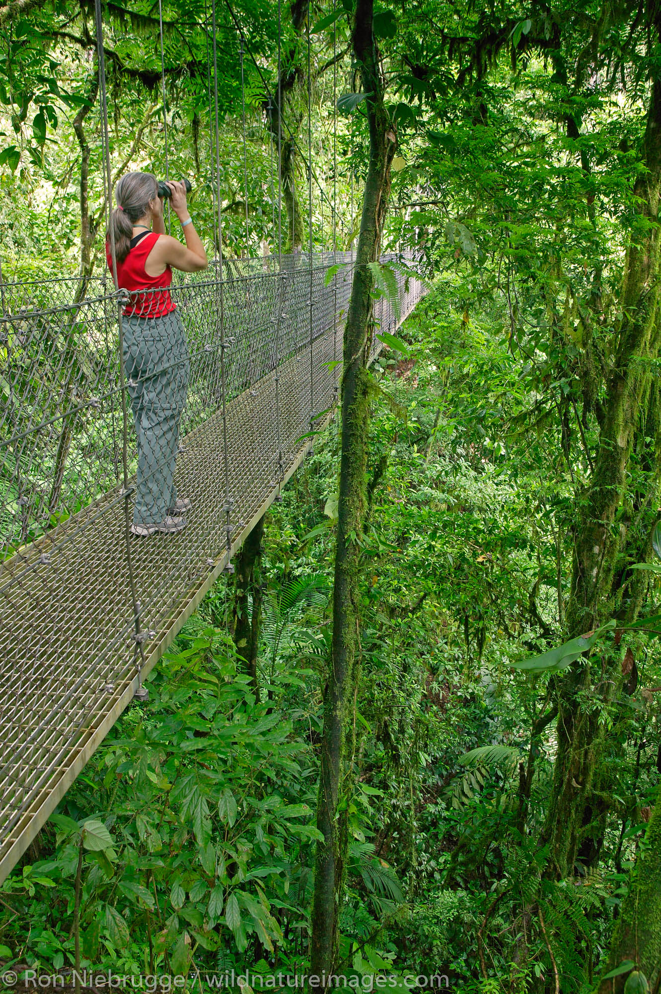 A visitor (mr) on a hanging bridge on Arenal Hanging Bridges Trail, Arenal, Costa Rica.