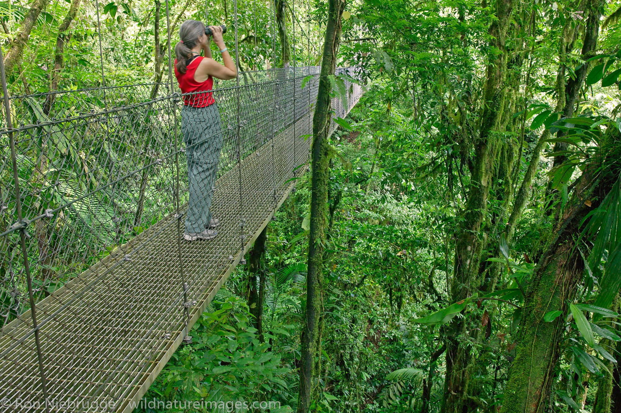 A visitor (mr) on a hanging bridge on Arenal Hanging Bridges Trail, Arenal, Costa Rica.