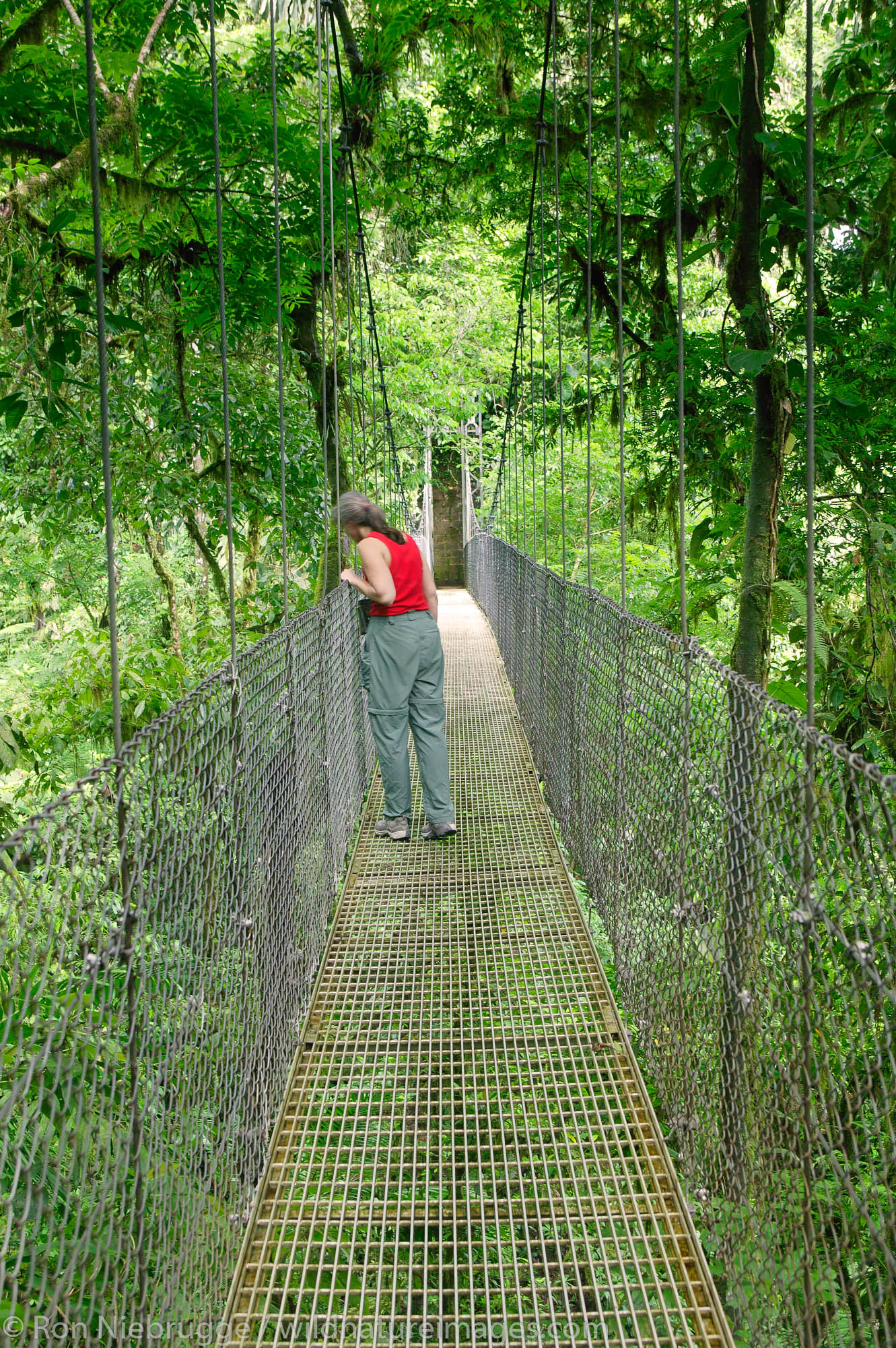 A visitor (mr) on a hanging bridge on Arenal Hanging Bridges Trail, Arenal, Costa Rica.