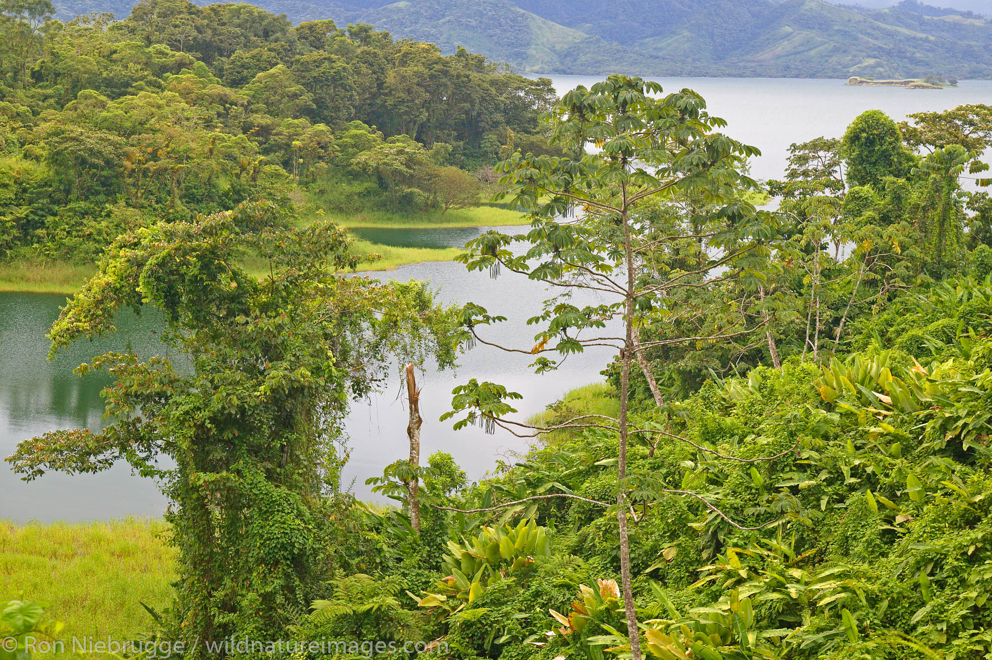 Lake Arenal, Costa Rica.